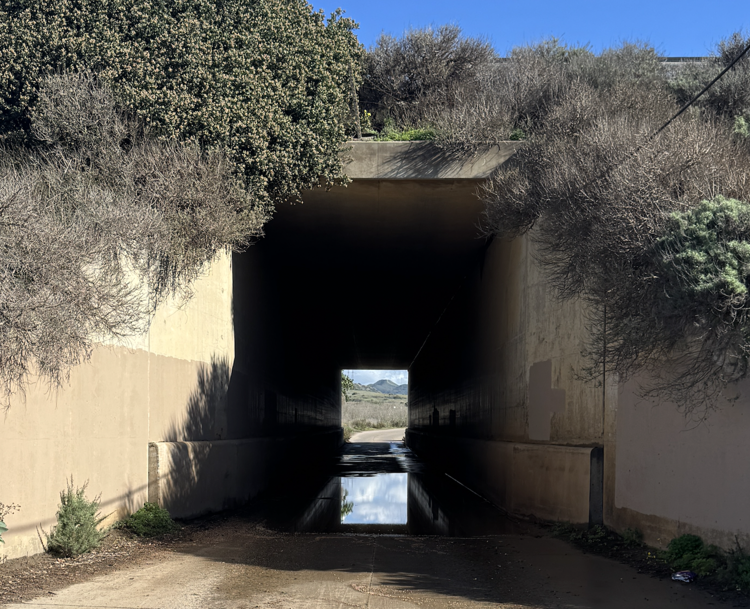 THIS THREE DAY BLOCK