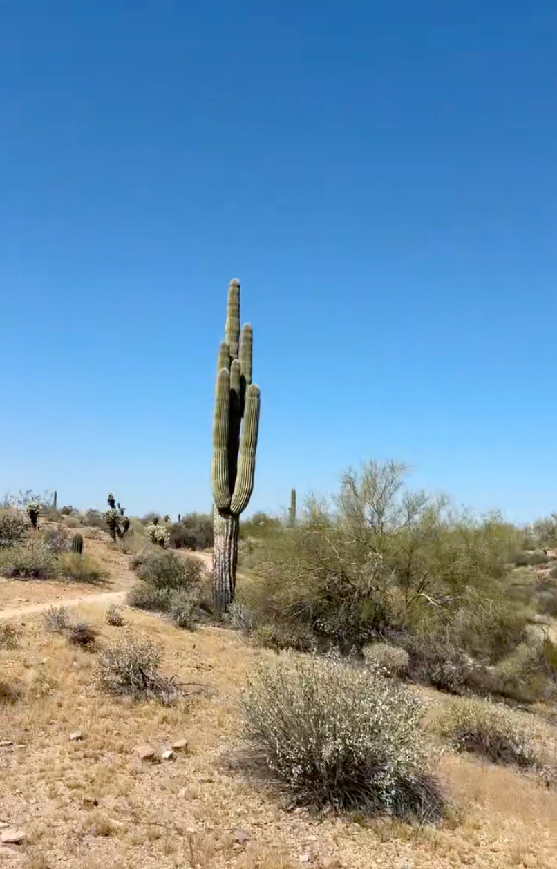 THE UNSETTLING QUESTIONS