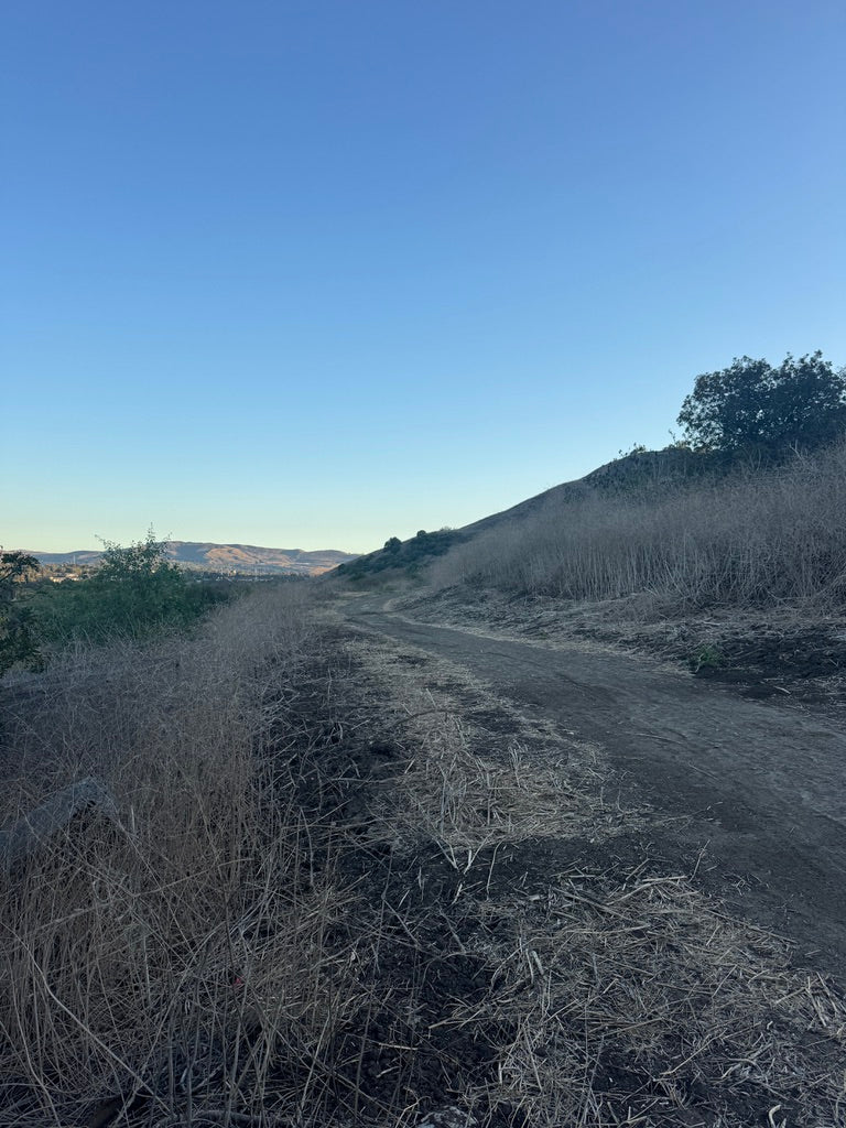 CAN WE AGREE ON THIS?