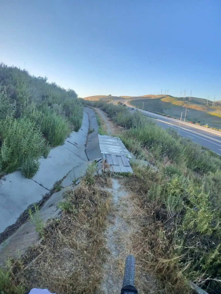 WHEN INSANITY ACTUALLY WORKS