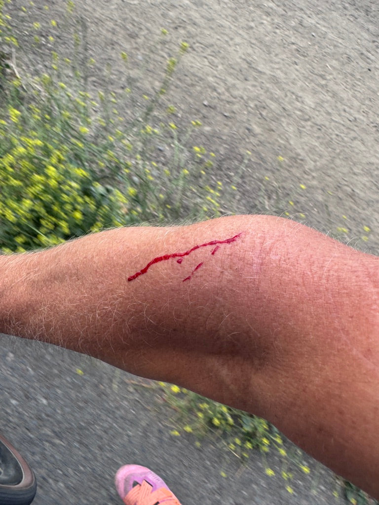 FIRST (TASTE OF) BLOOD