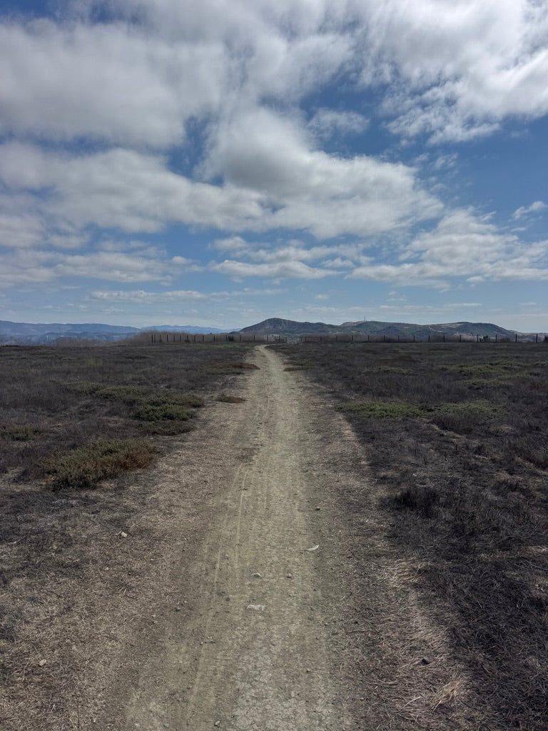 DEATH BY A THOUSAND ______________