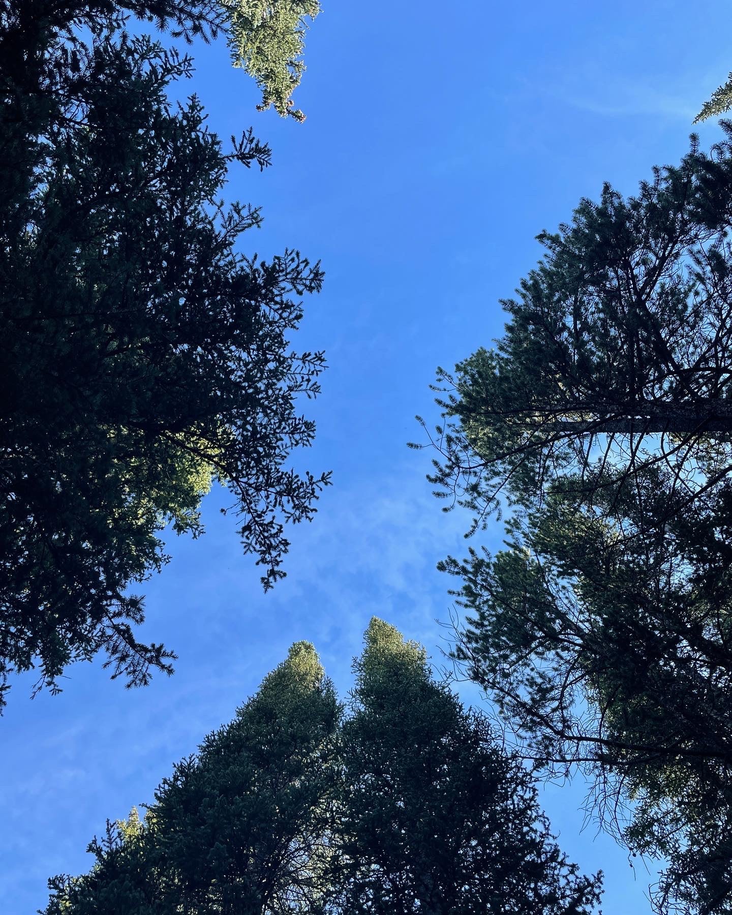 WHAT'S NEXT ON YOUR CALENDAR?