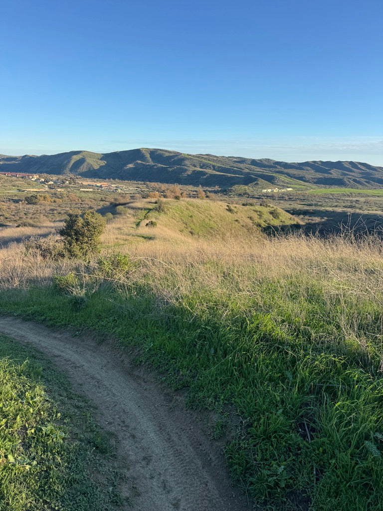 RUTS VS ROUTES