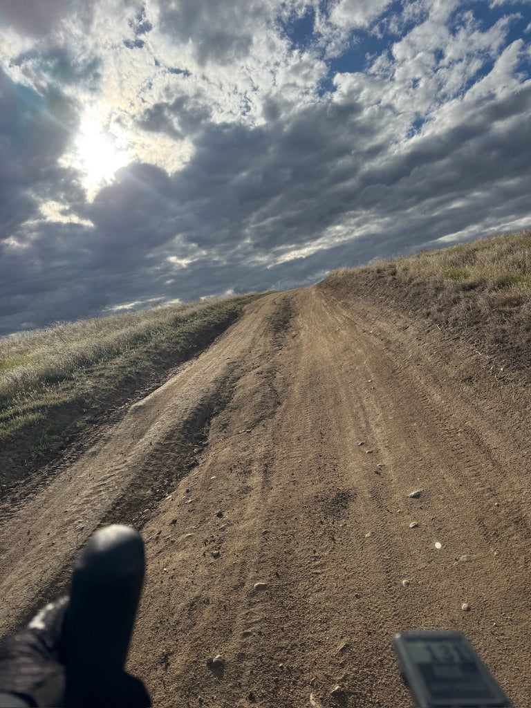 PLANT THESE SEEDS NOW!