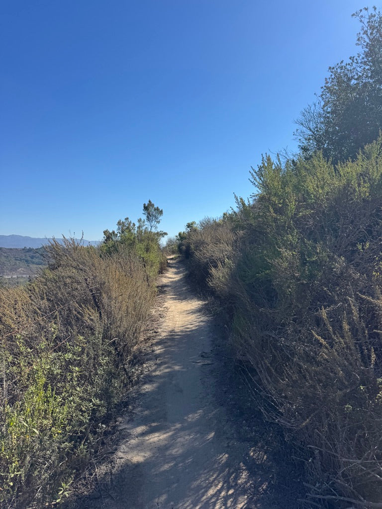 THE REBEL ALLIANCE IS GROWING