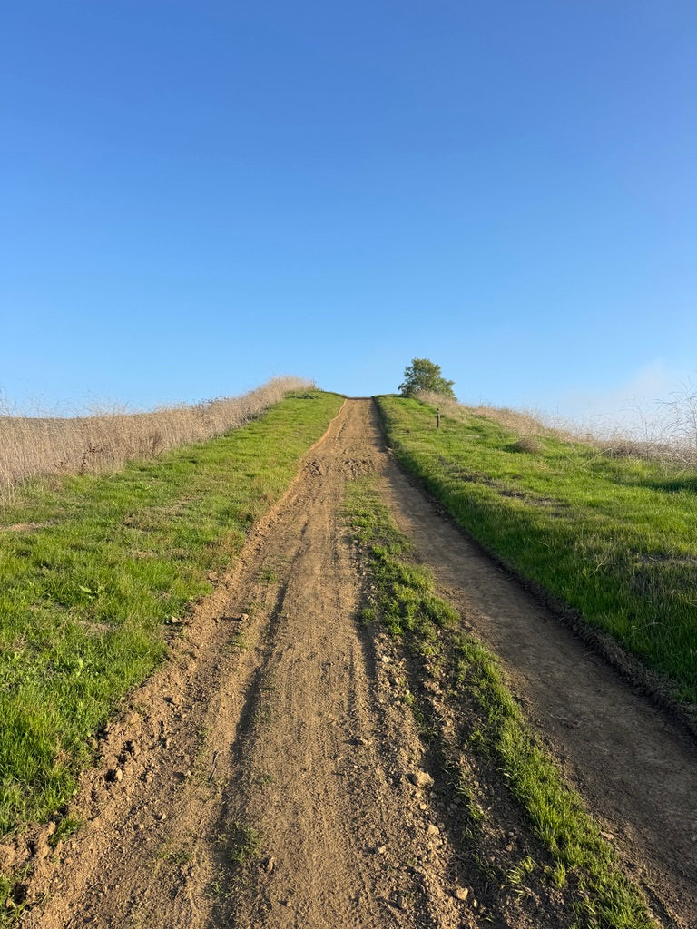 IS IT THE SACRIFICE?