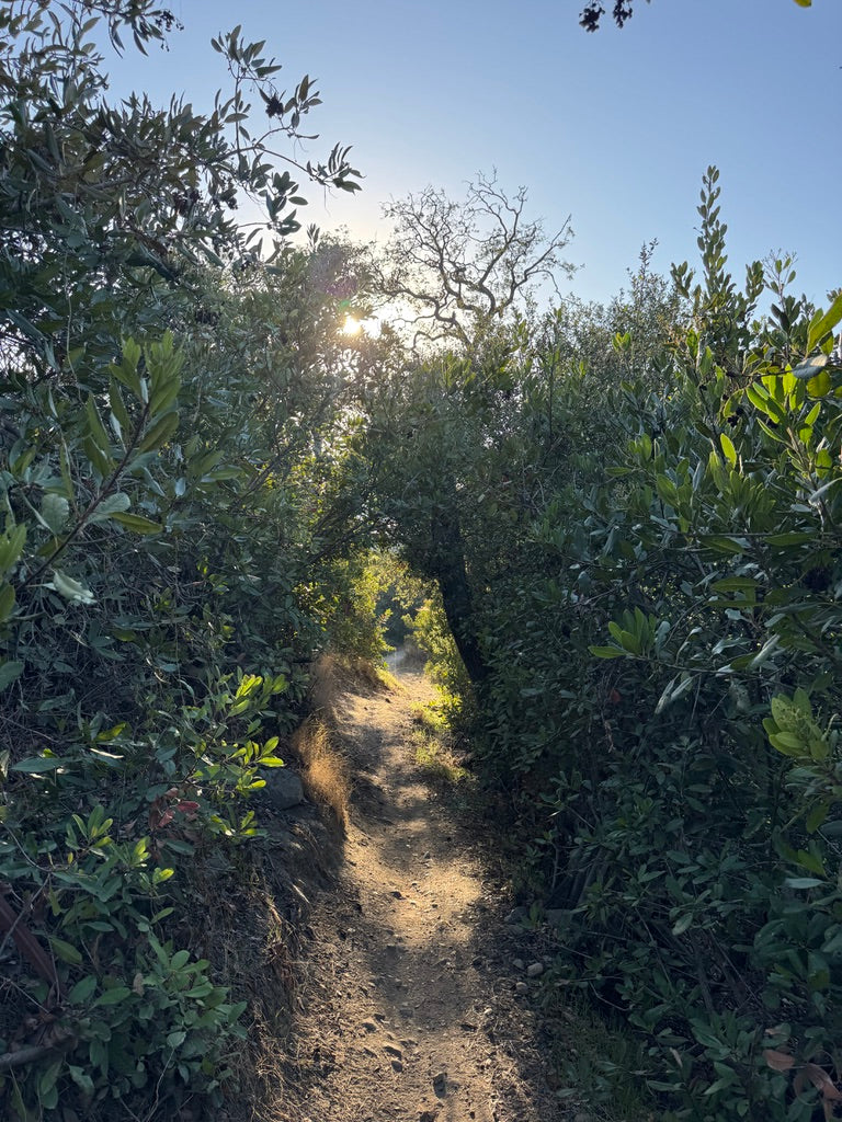 WHAT IS YOUR BIGGEST CHALLENGE ON RACEDAY?