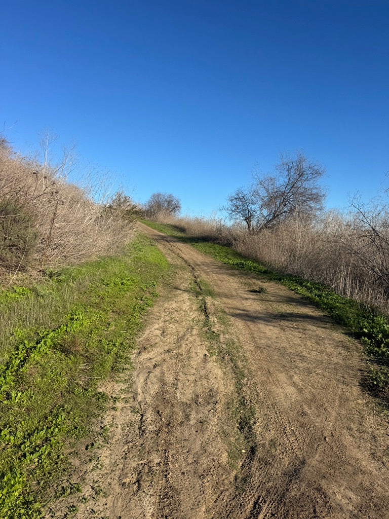 WHAT ARE WE RIDING SATURDAY?