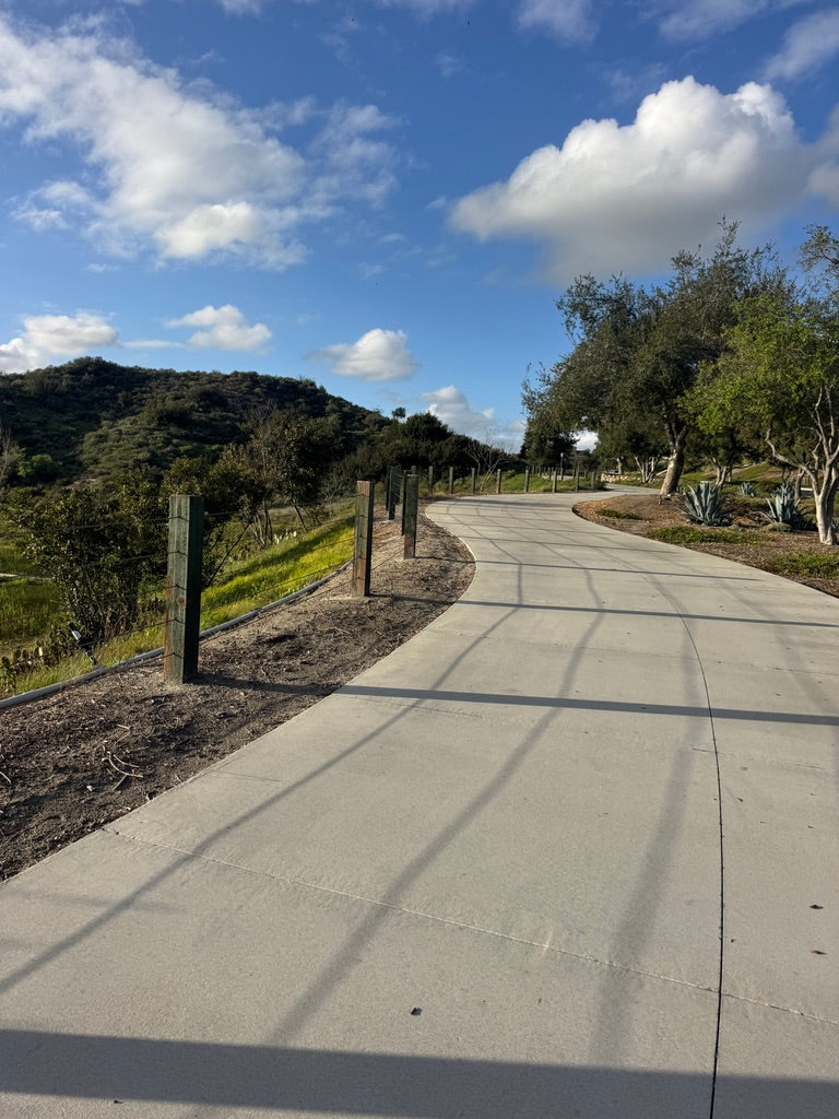 DEAR DIESEL, ABOUT TRAINERROAD AND BLINDERS