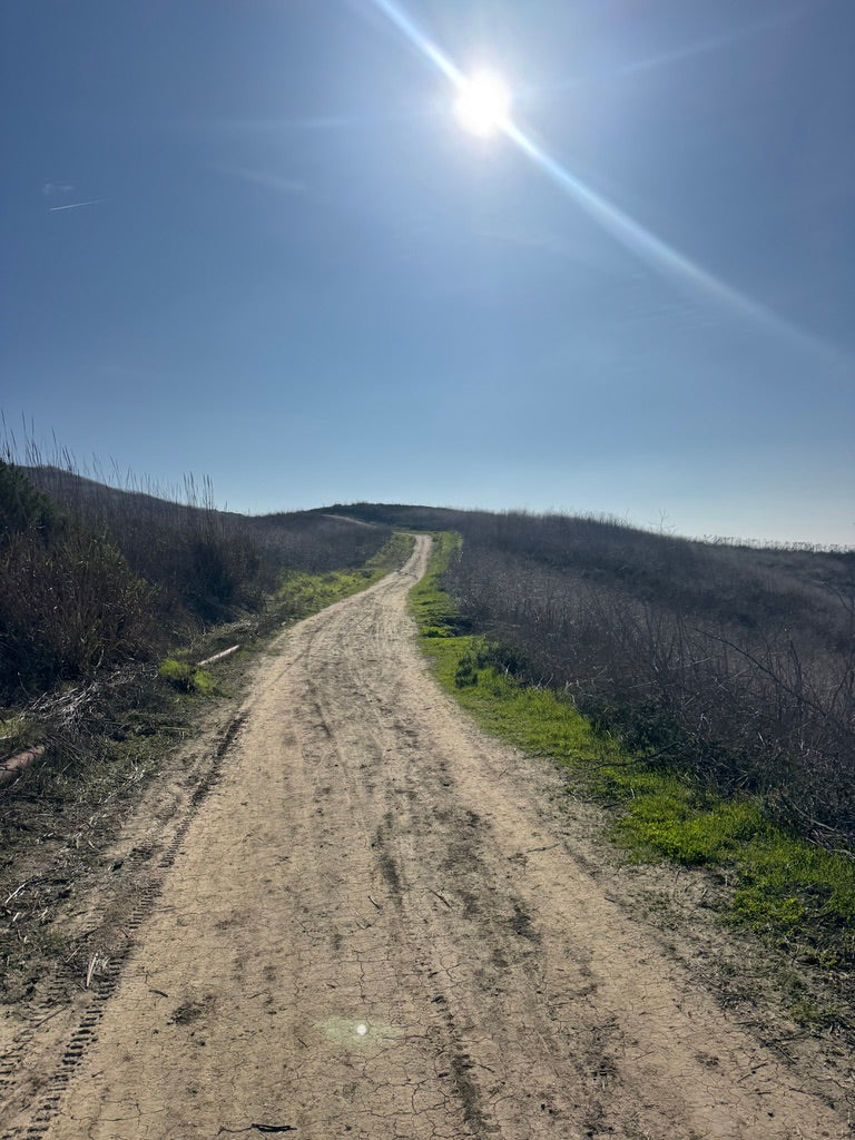 ARE YOU CHOPPING WOOD?