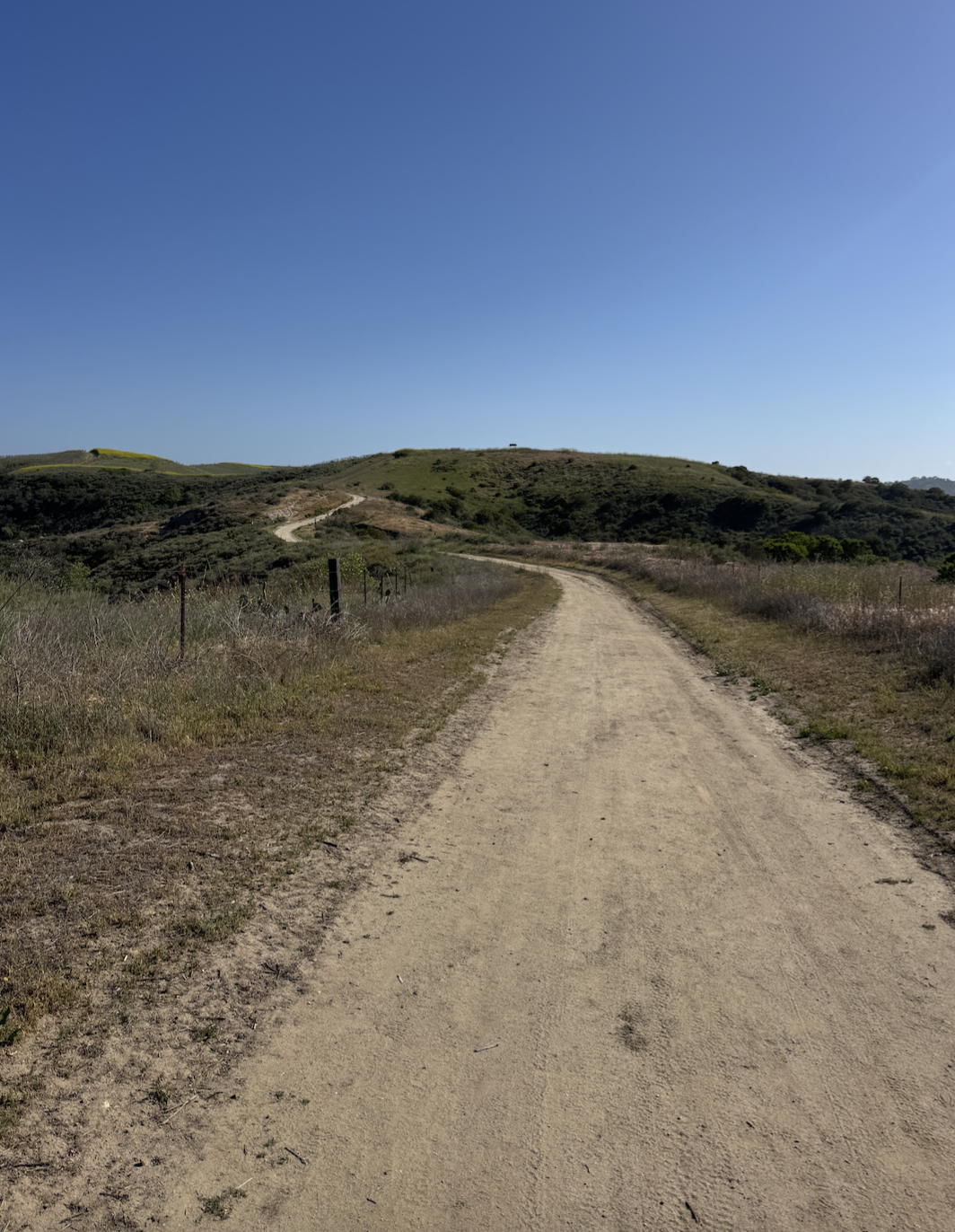 WARDING OFF THE DIGITAL DEMONS