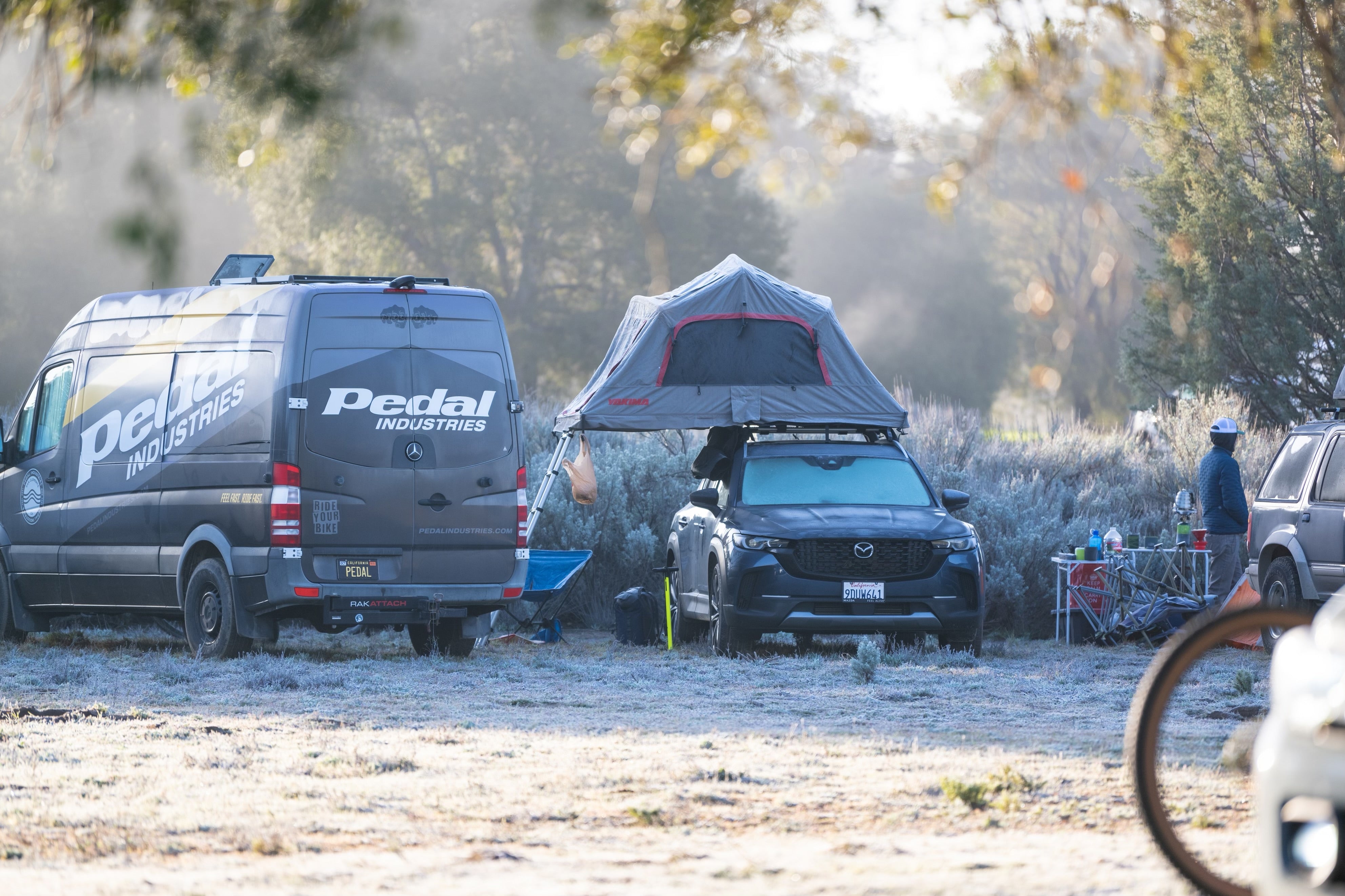 STRENGTH, MUSCLE AND LOSING