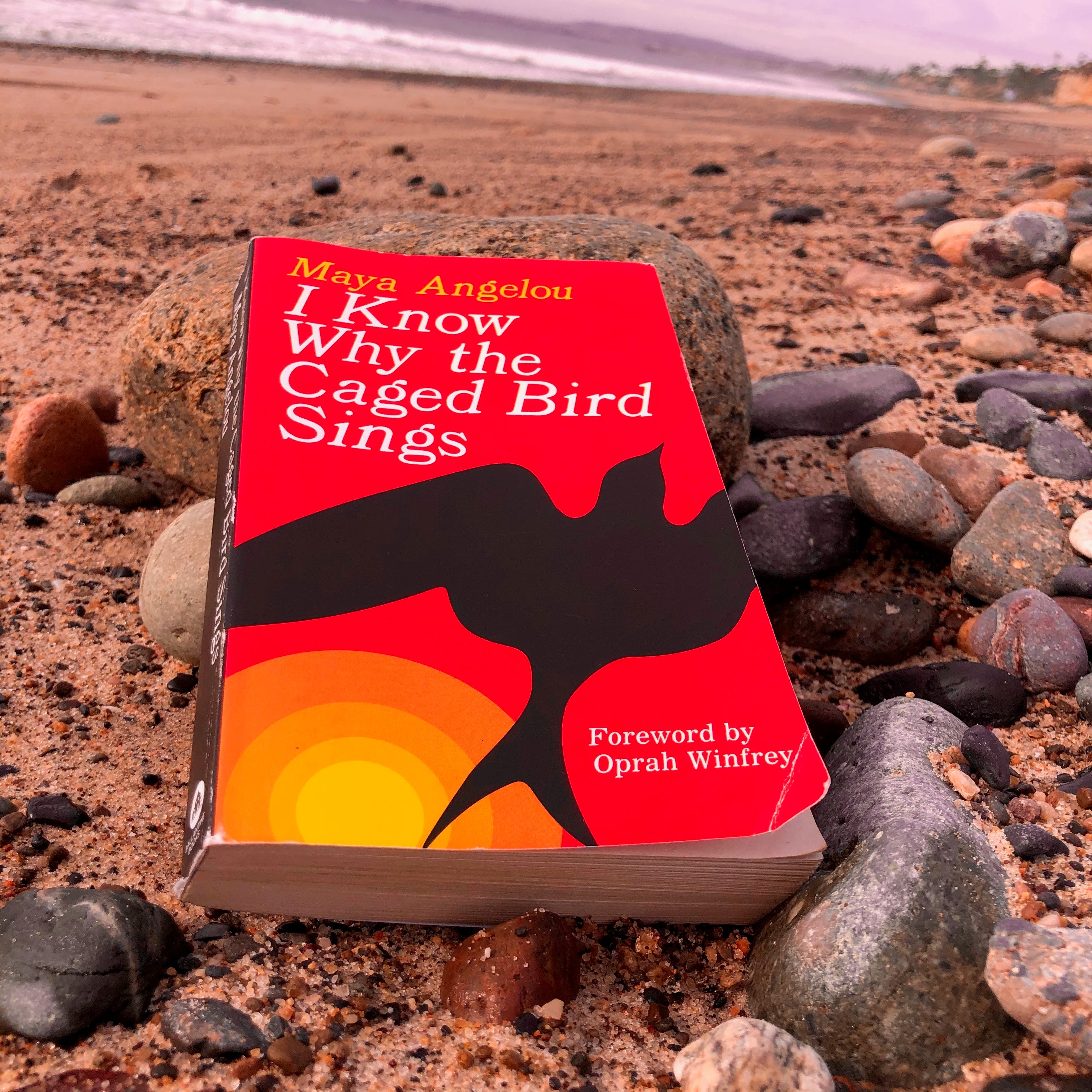 WE'VE COME A LONG WAY, AND I WANT TO GO FURTHER