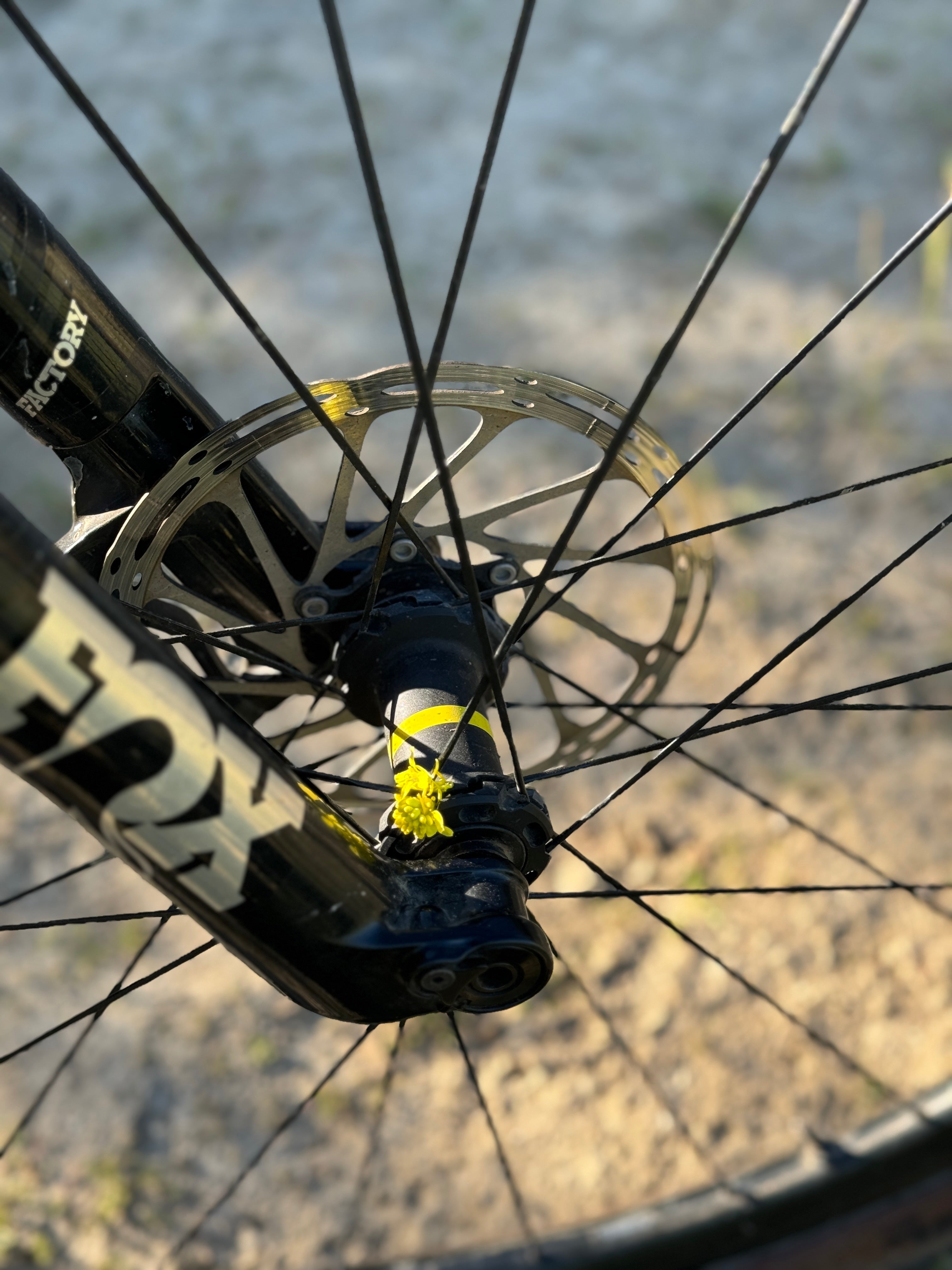 THE PRIDE CYCLE QUEST