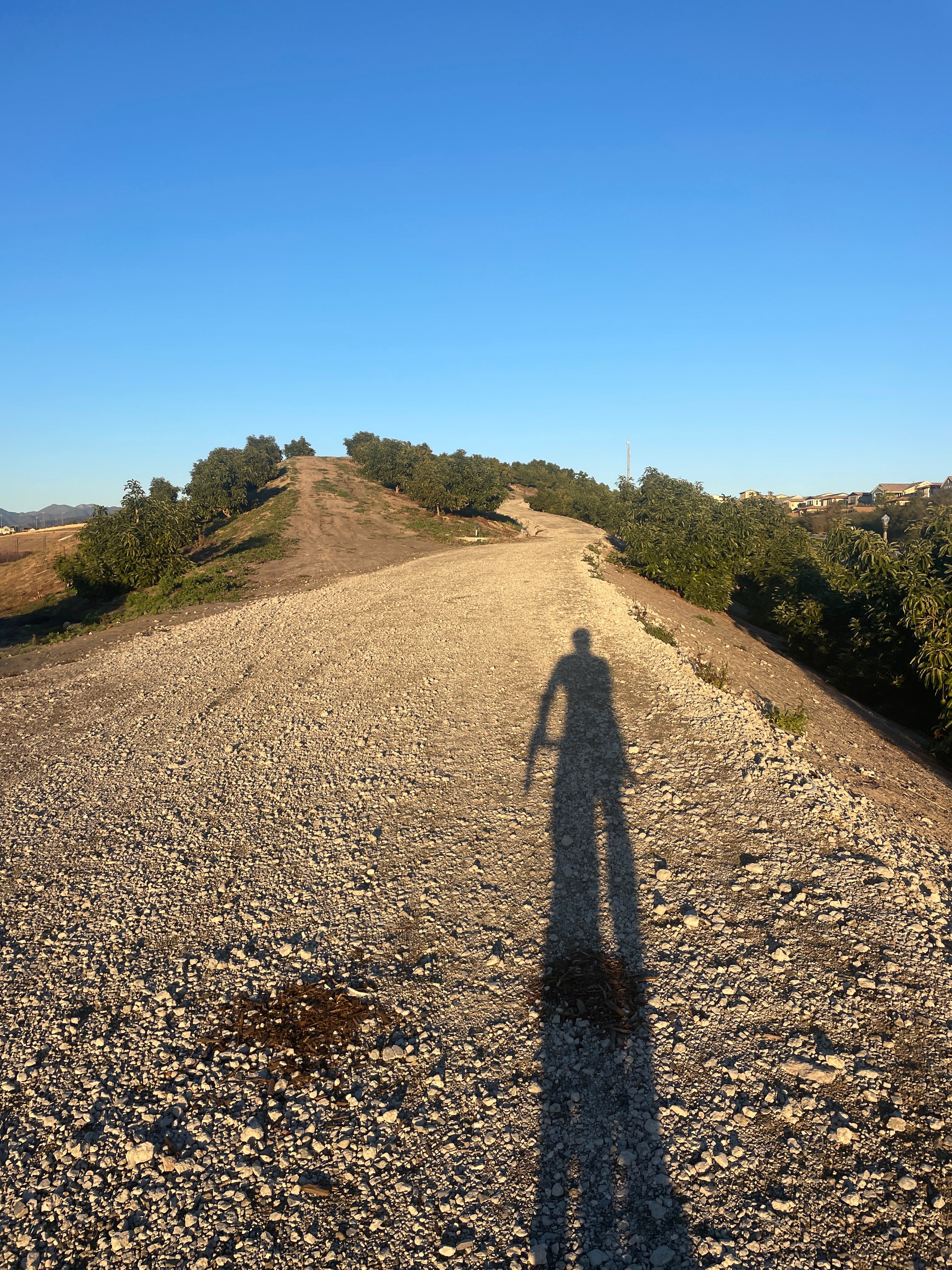 WHO IS THE GREATEST ATHLETE?