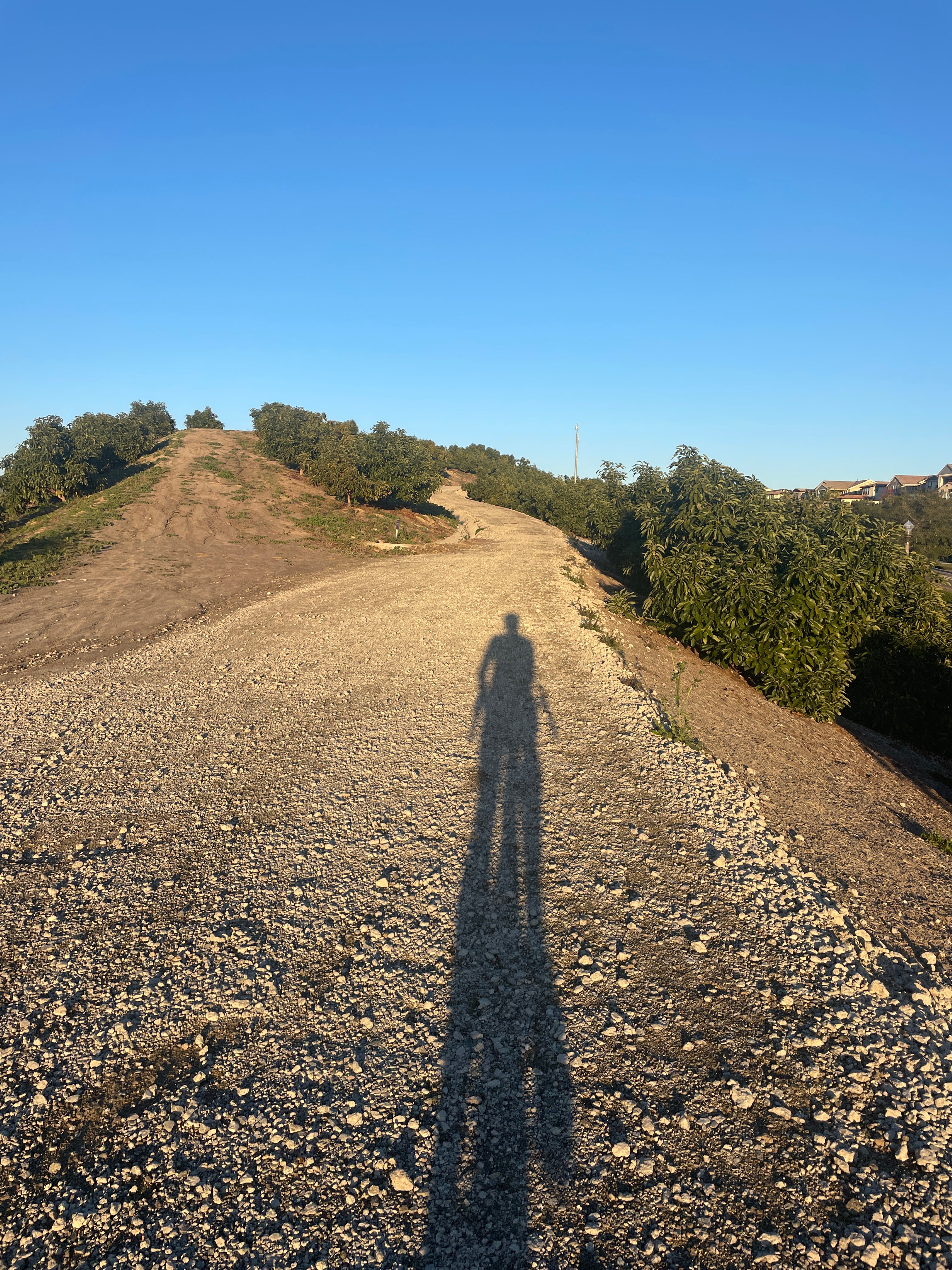 WELL, THAT'S A STRETCH