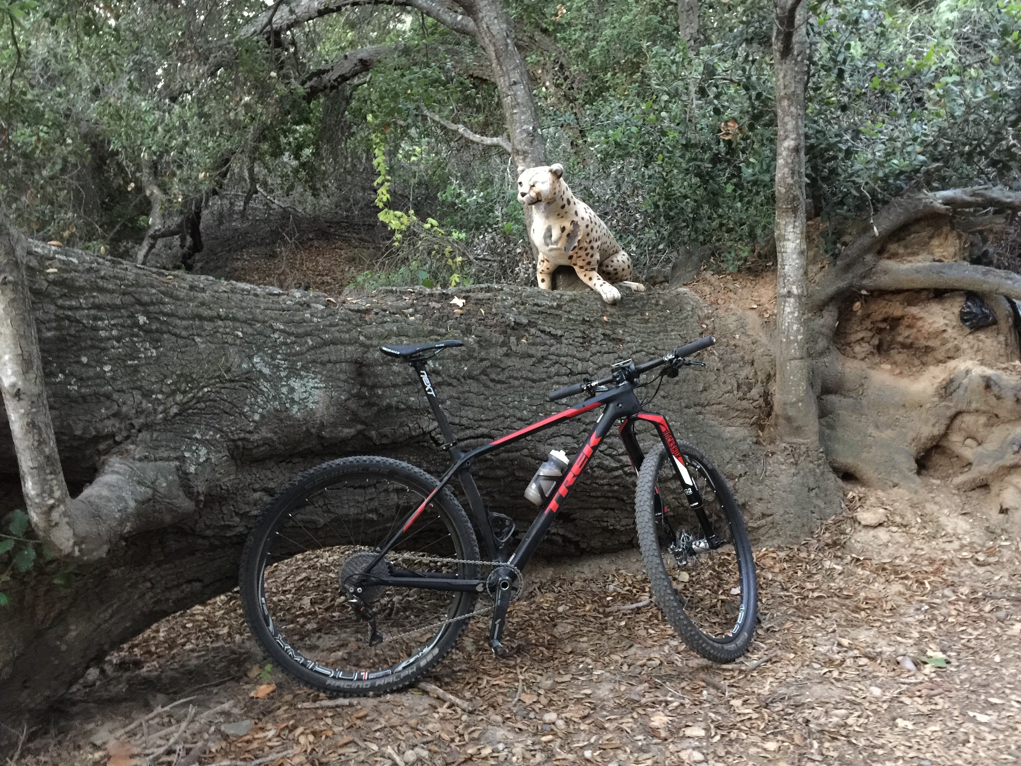 WHY I LOVE LEADING A QUIET LIFE OF....