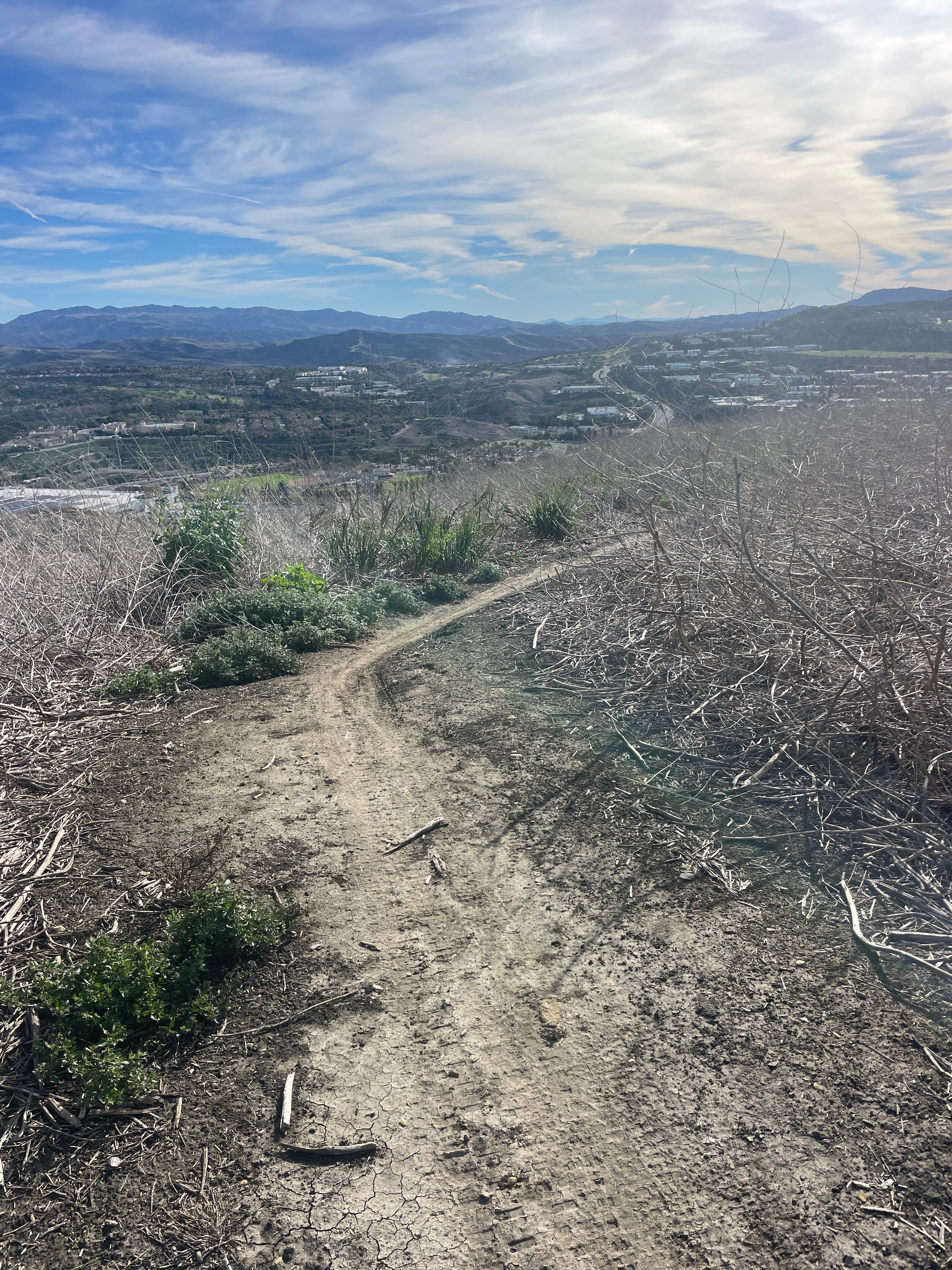 THE TALENT REVOLUTION