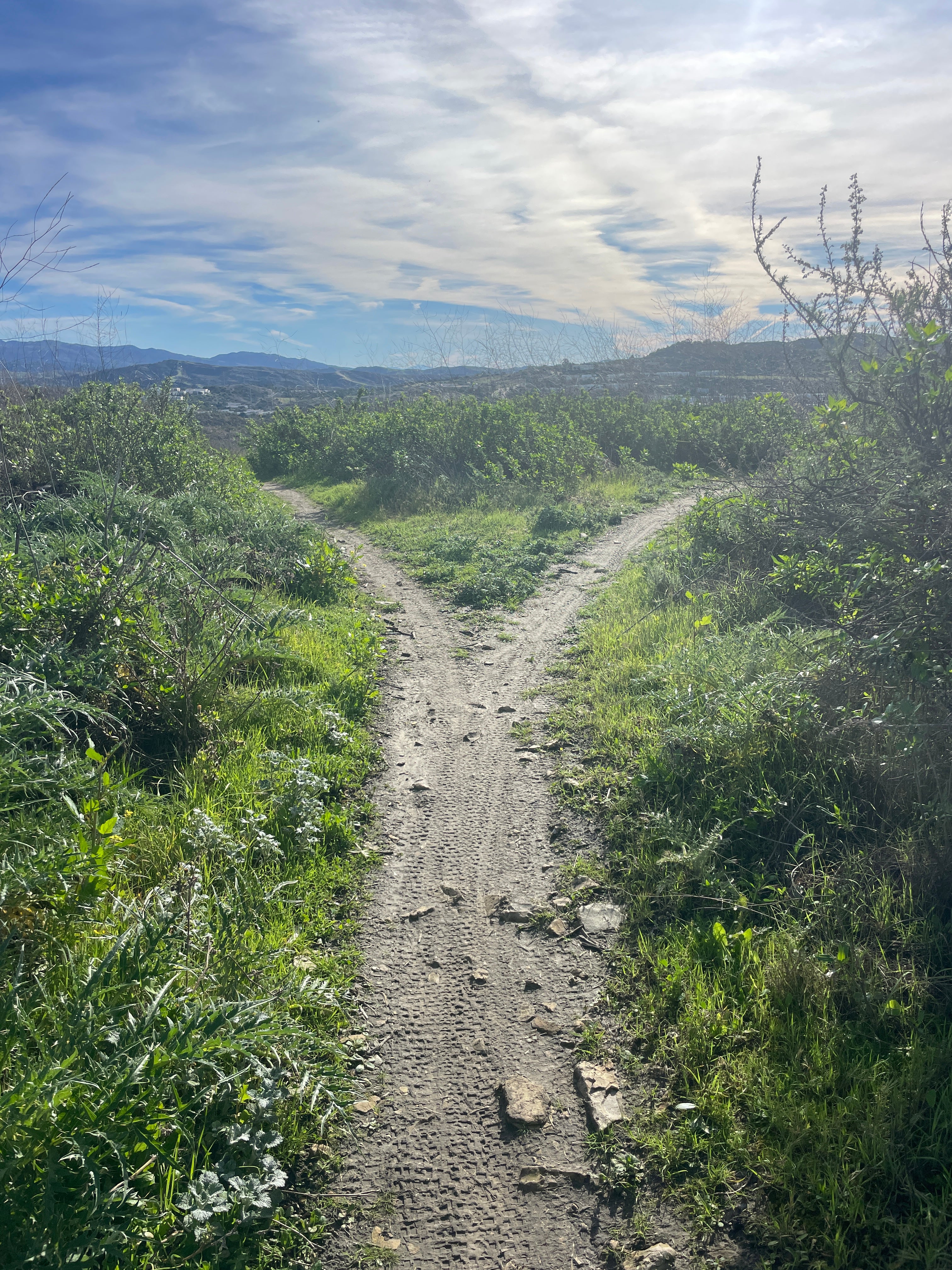 DID YOU PICK THE RIGHT PATH?