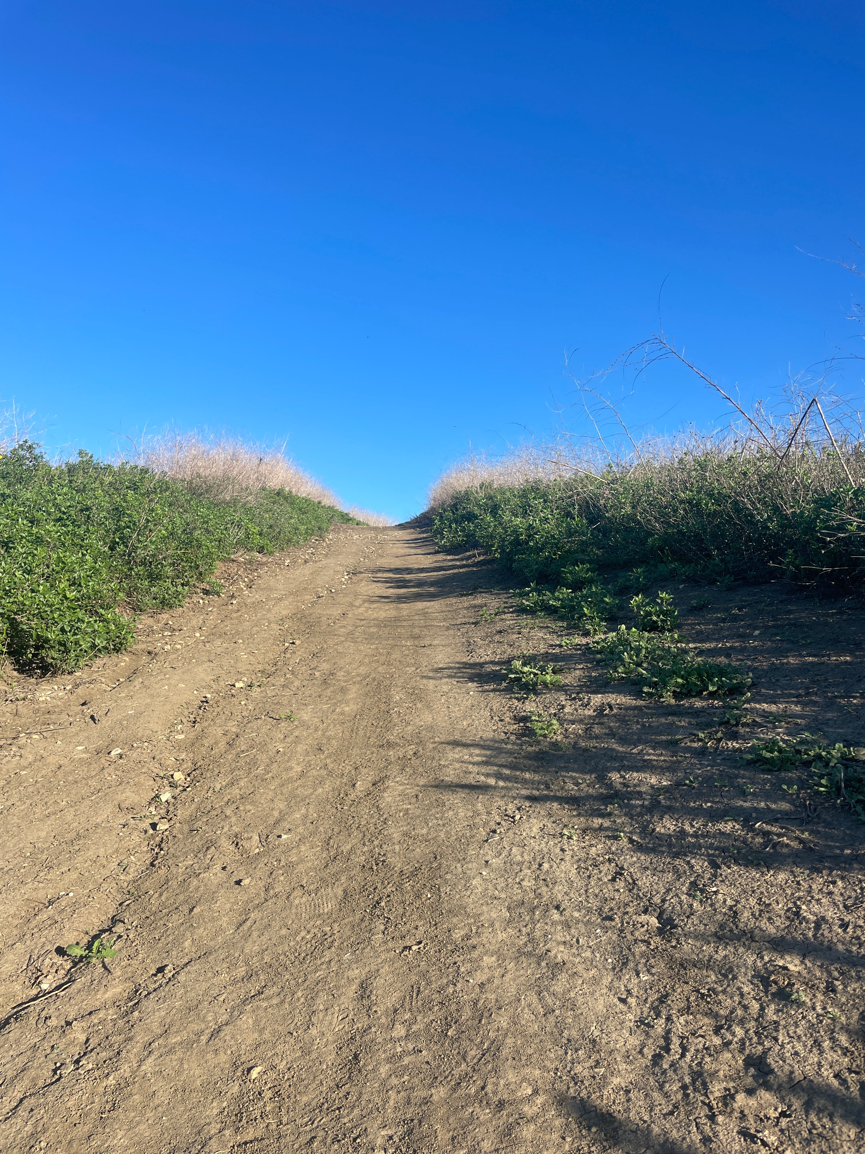 MY FAVORITE 4 LETTER WORD THAT STARTS WITH 'F'