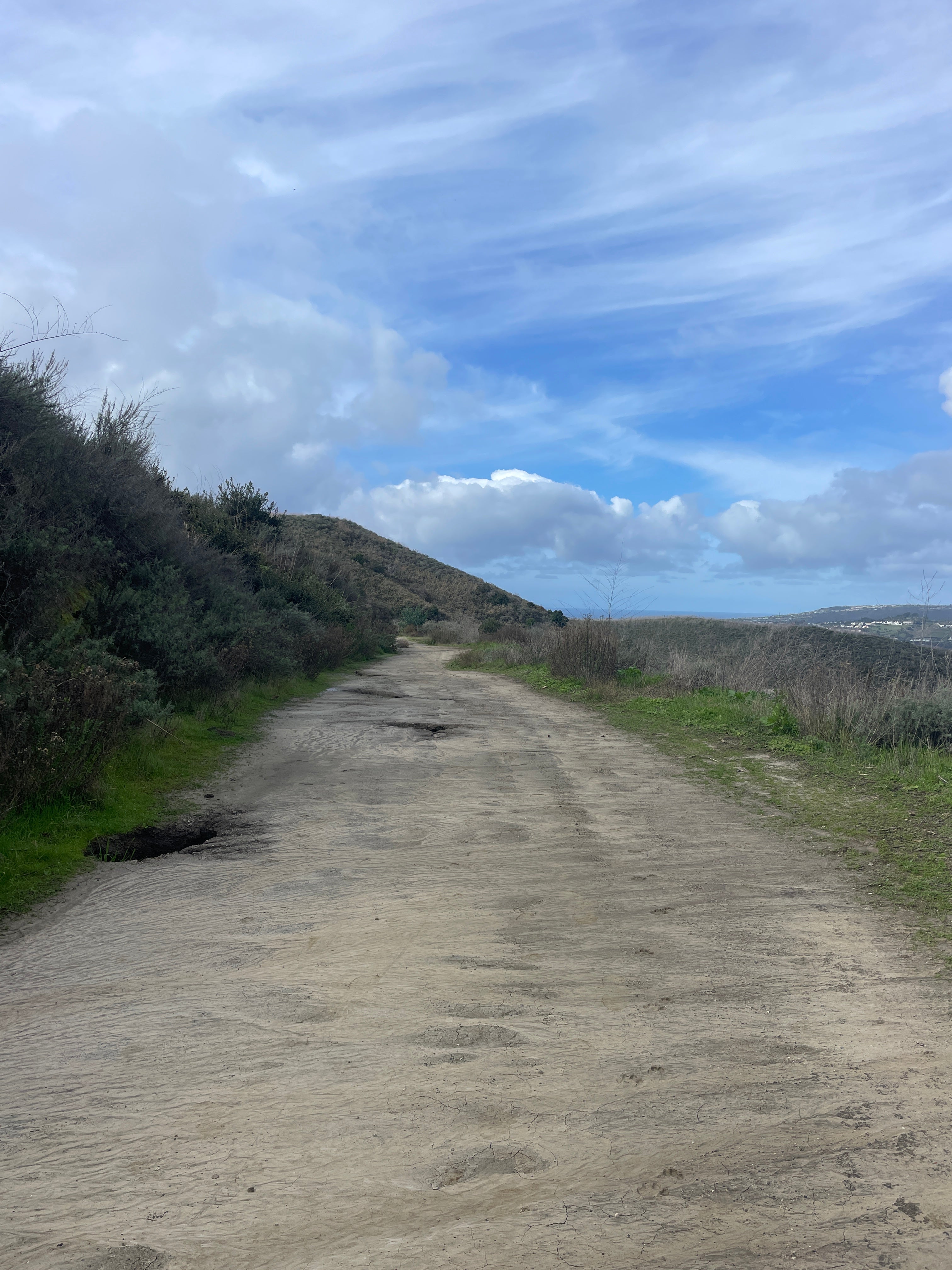 WHAT TO ASK A PROSPECTIVE COACH