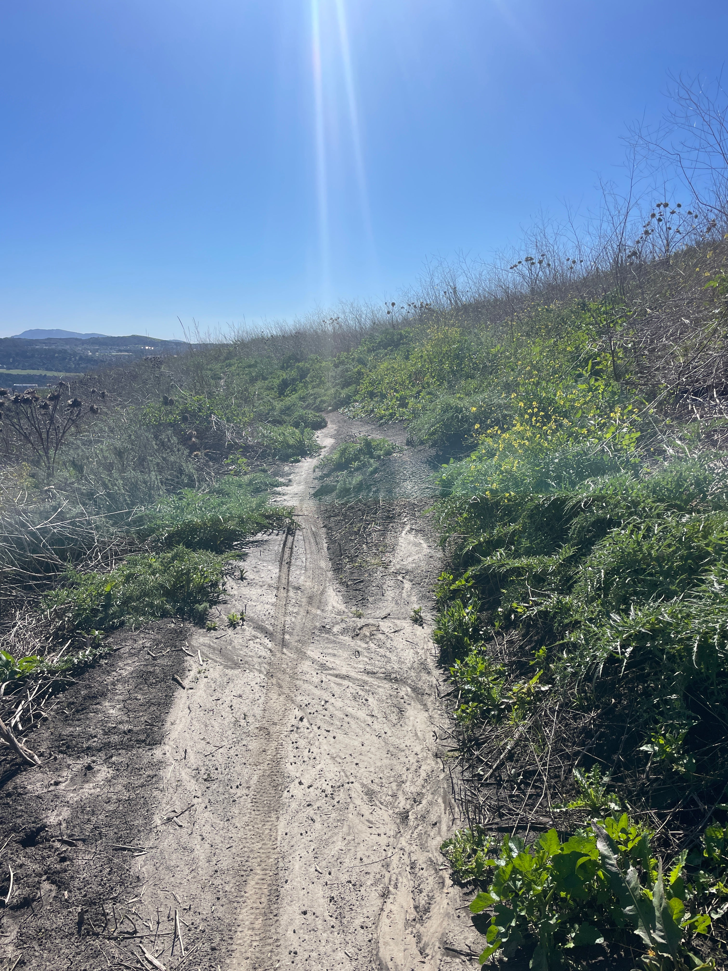 TOP REASONS NOT TO LIFT WEIGHTS