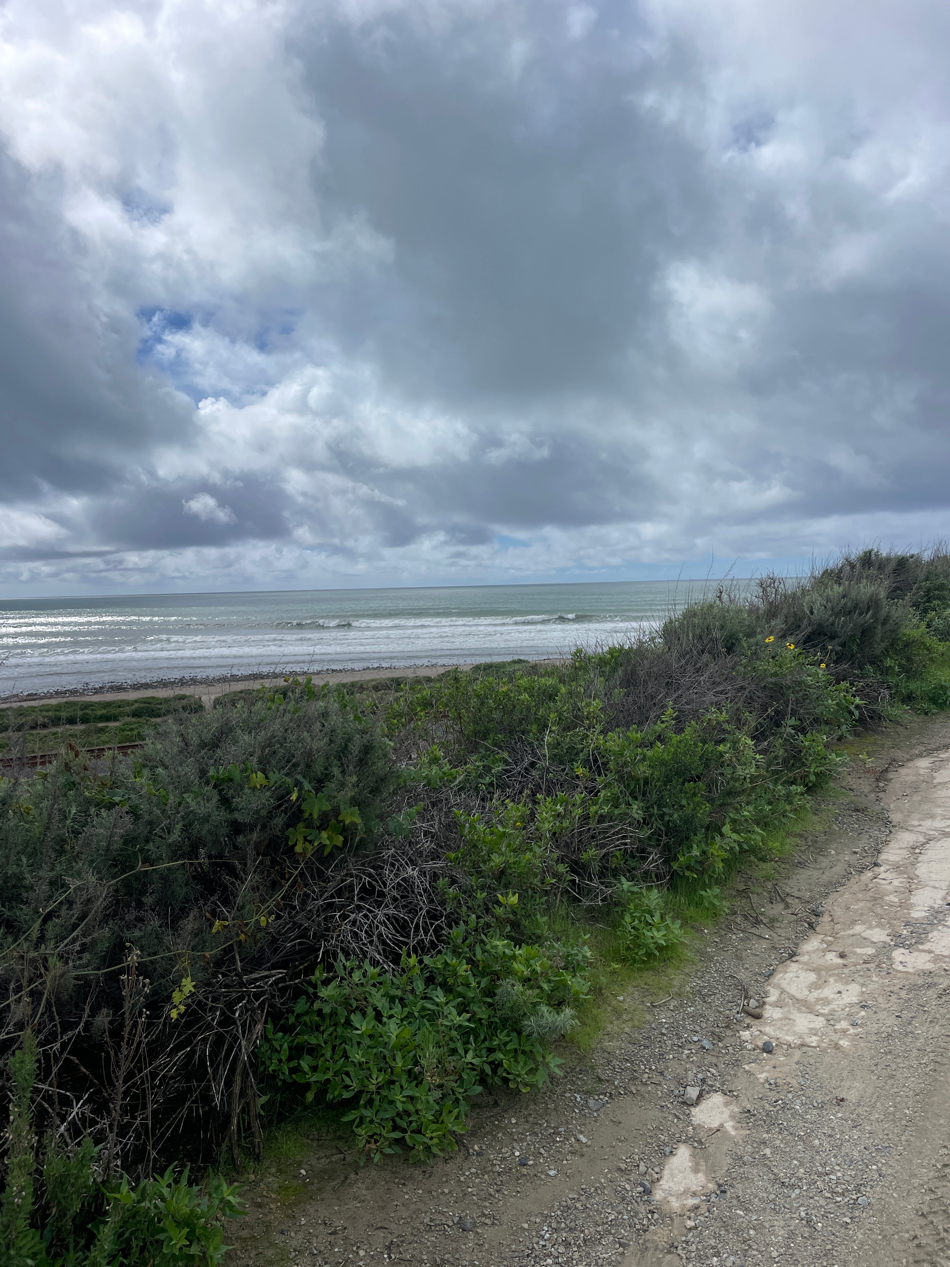 I KNOW YOU'RE NOT A LOSER LIKE THIS CAT