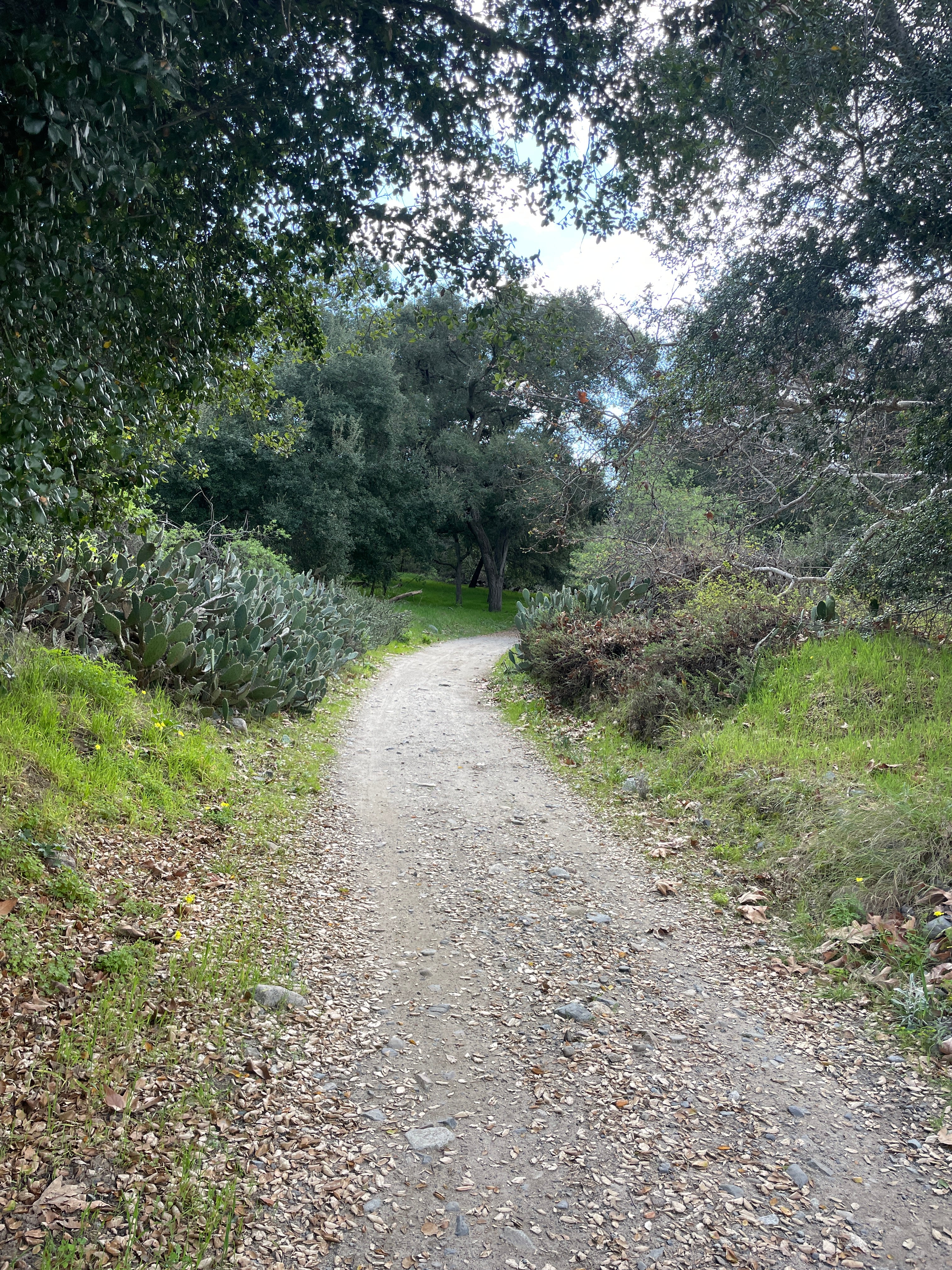 QUESTION: IS THIS A HIGH DEMAND SPORT?