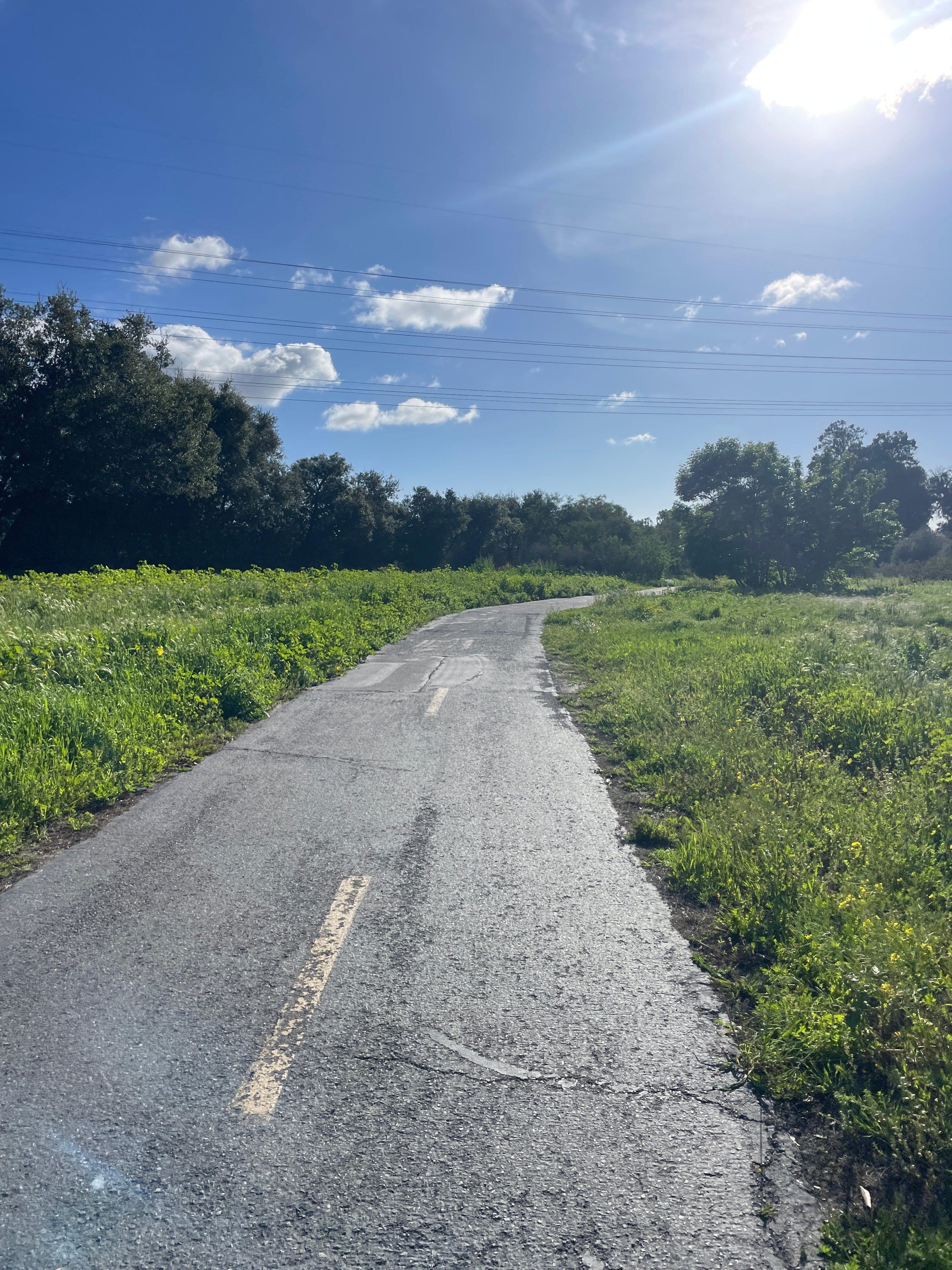 WHADAYA THINK OF UNDULATING TERRAIN?