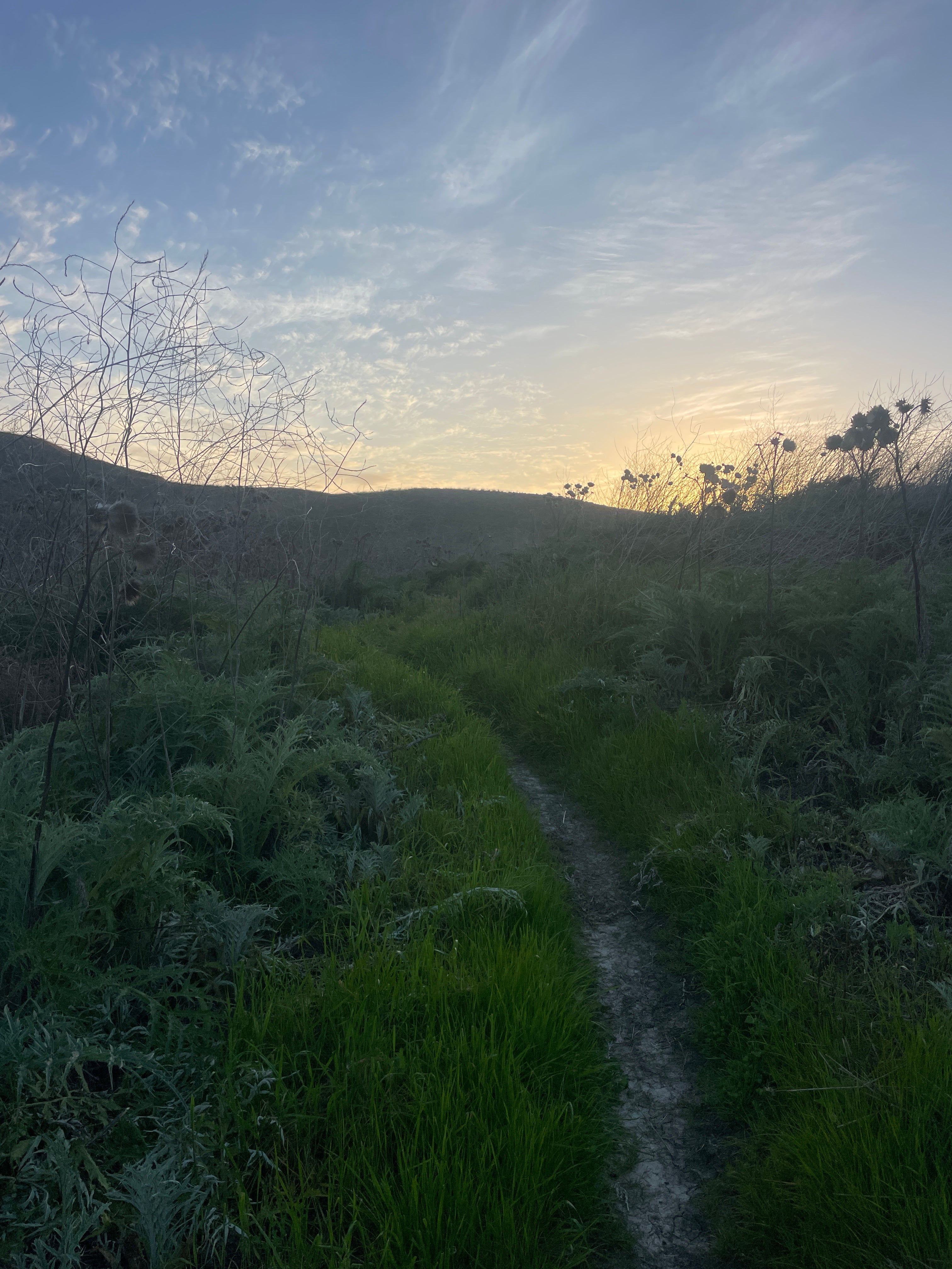 IT FEELS LIKE THE FIRST TIME!