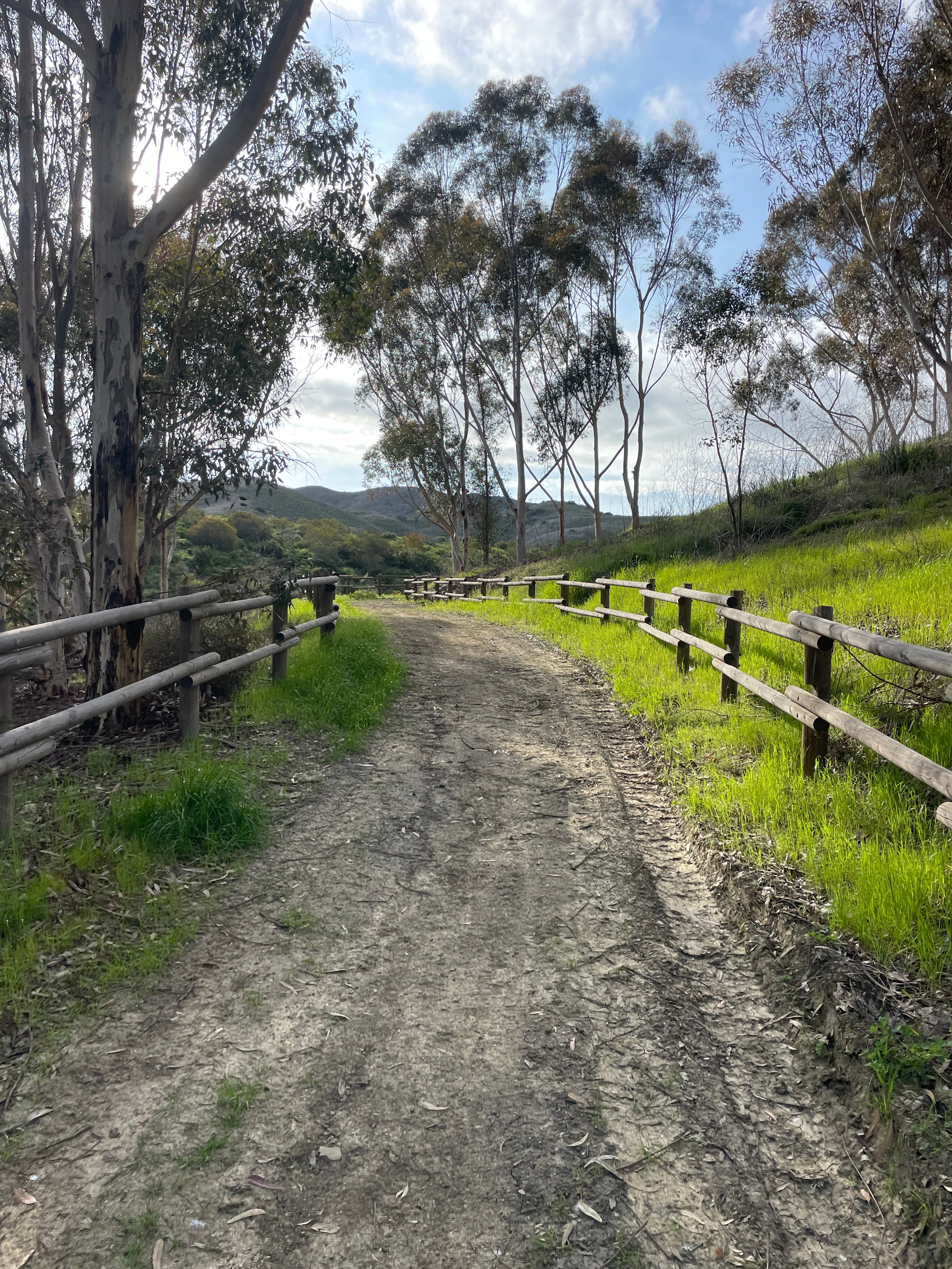 SHOULD WE DO A HUNDRED RACES IN A YEAR?