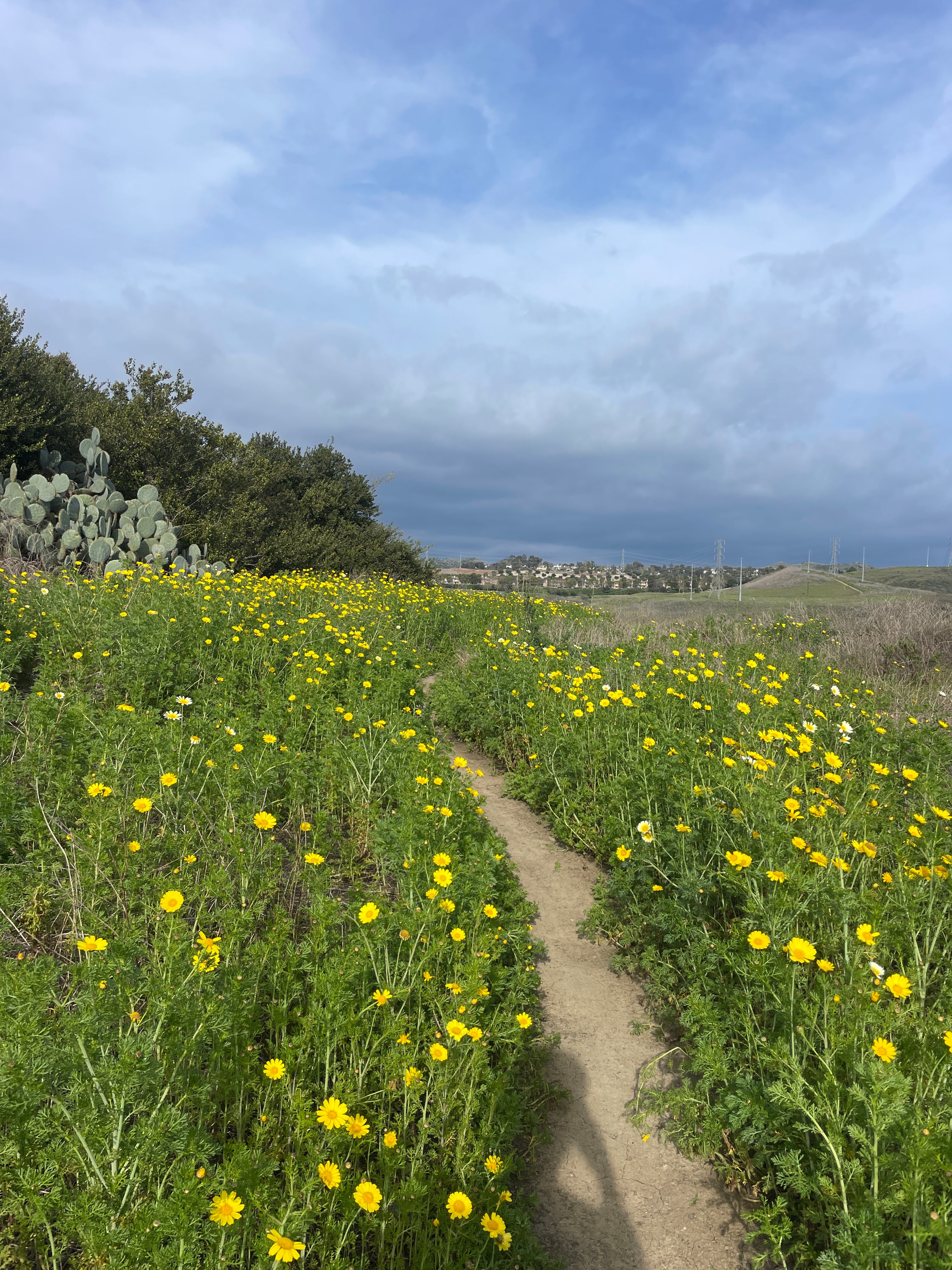 DO YOU LET POWER OR HR DETERMINE YOUR HARD VS EASY DAYS?