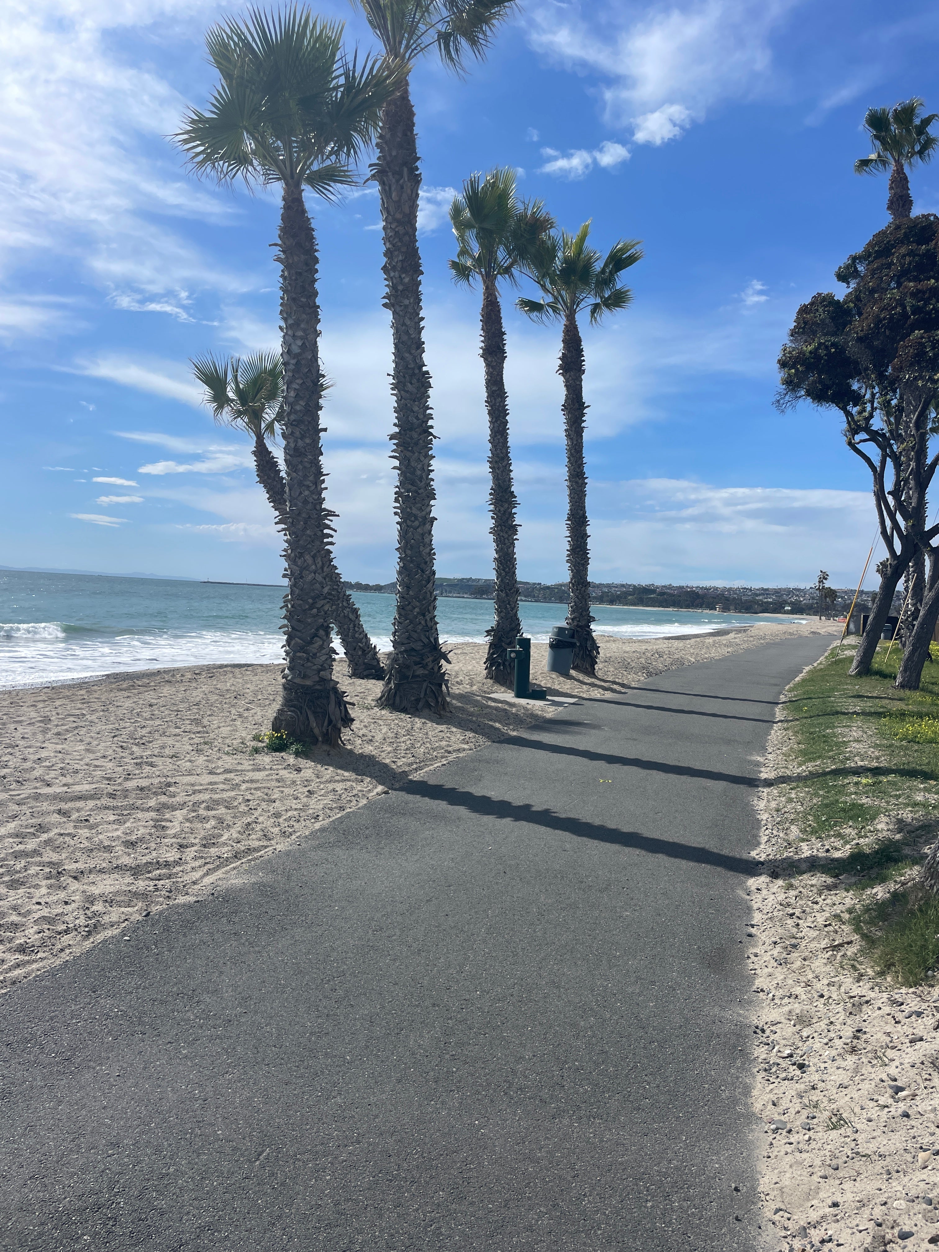 WWDGD?! - 25 WEEKS TO GO