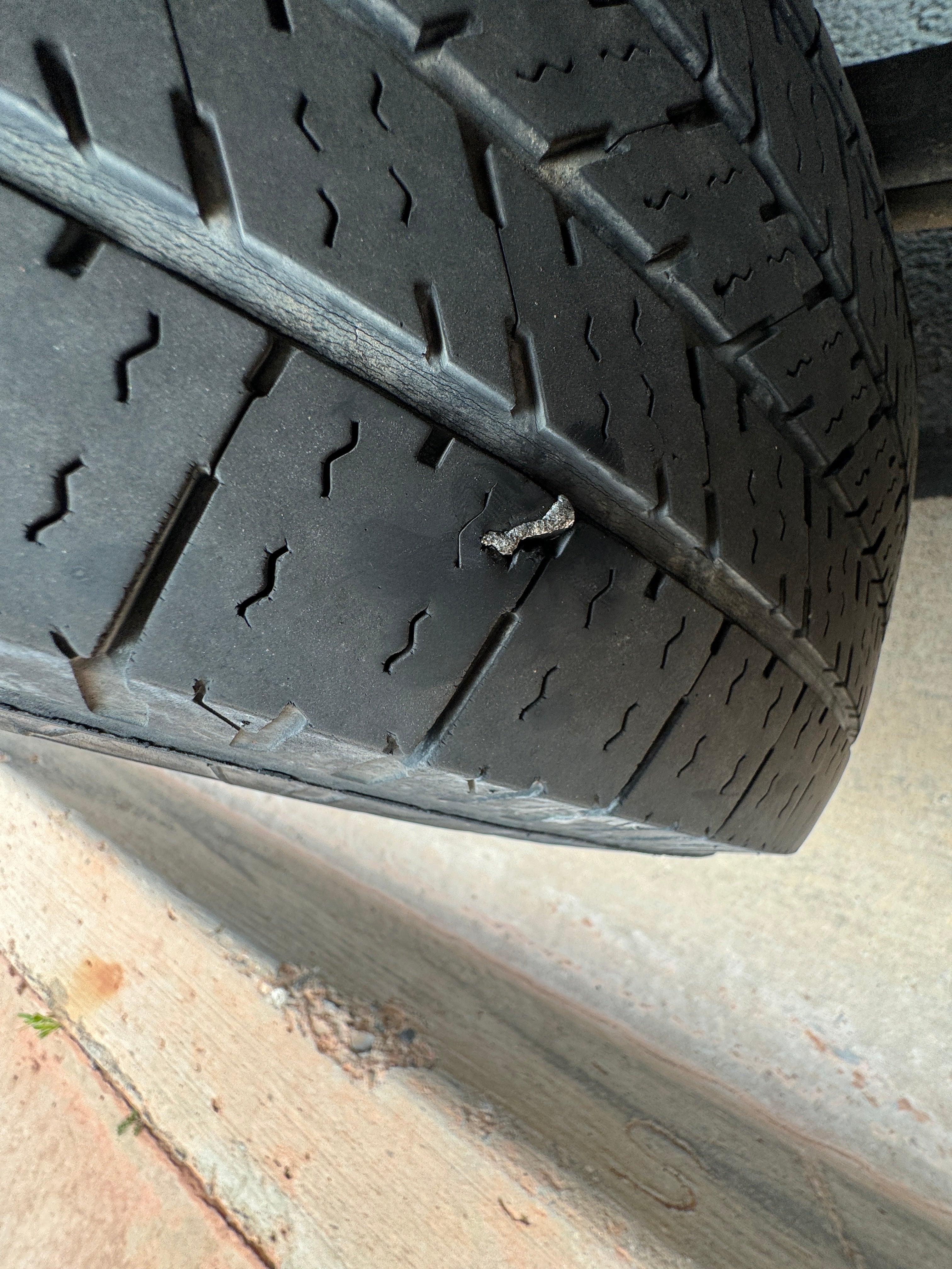 THESE ARE THE BEST RIDES