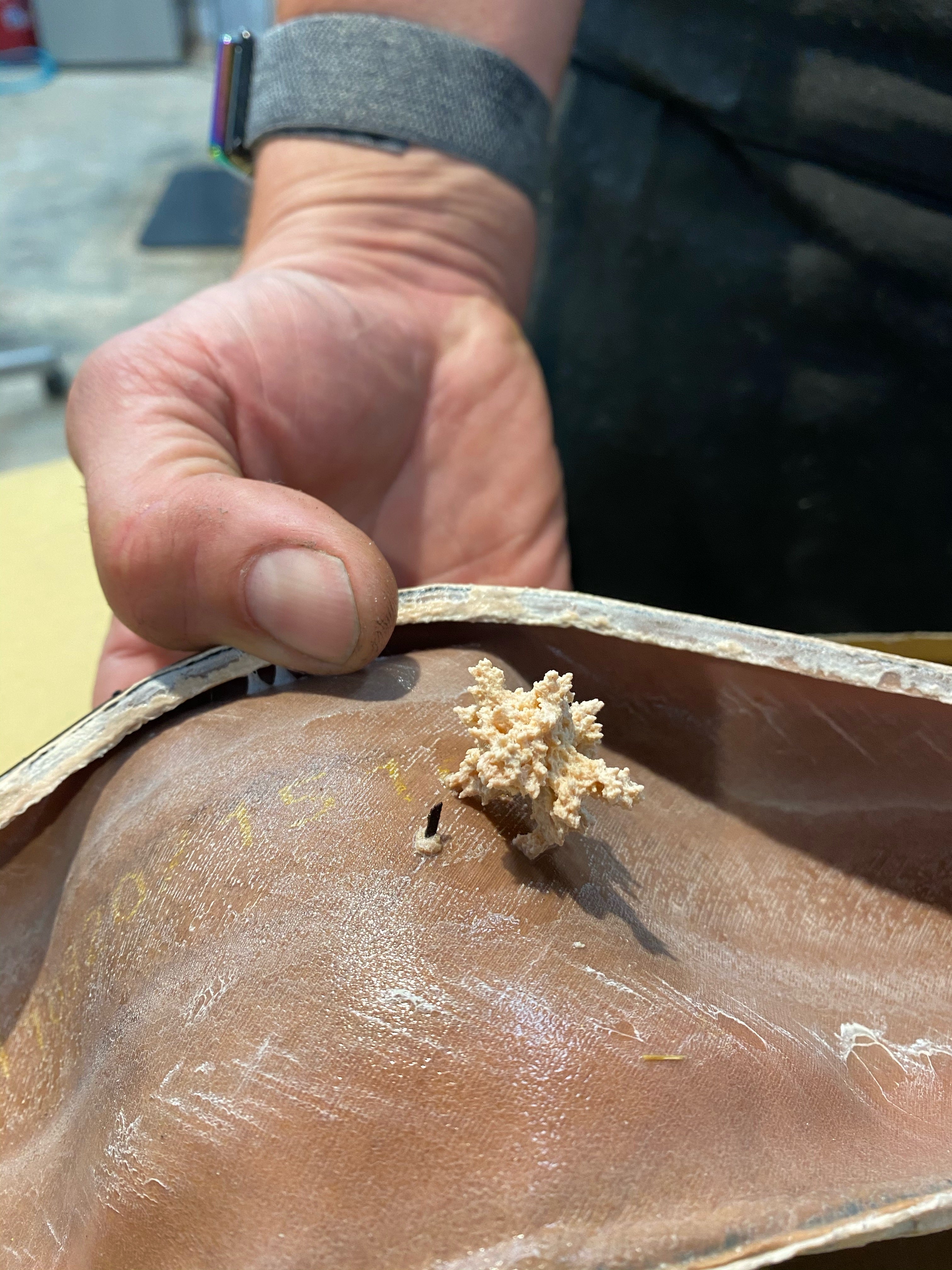 LIKE A FINE TUNED MACHINE