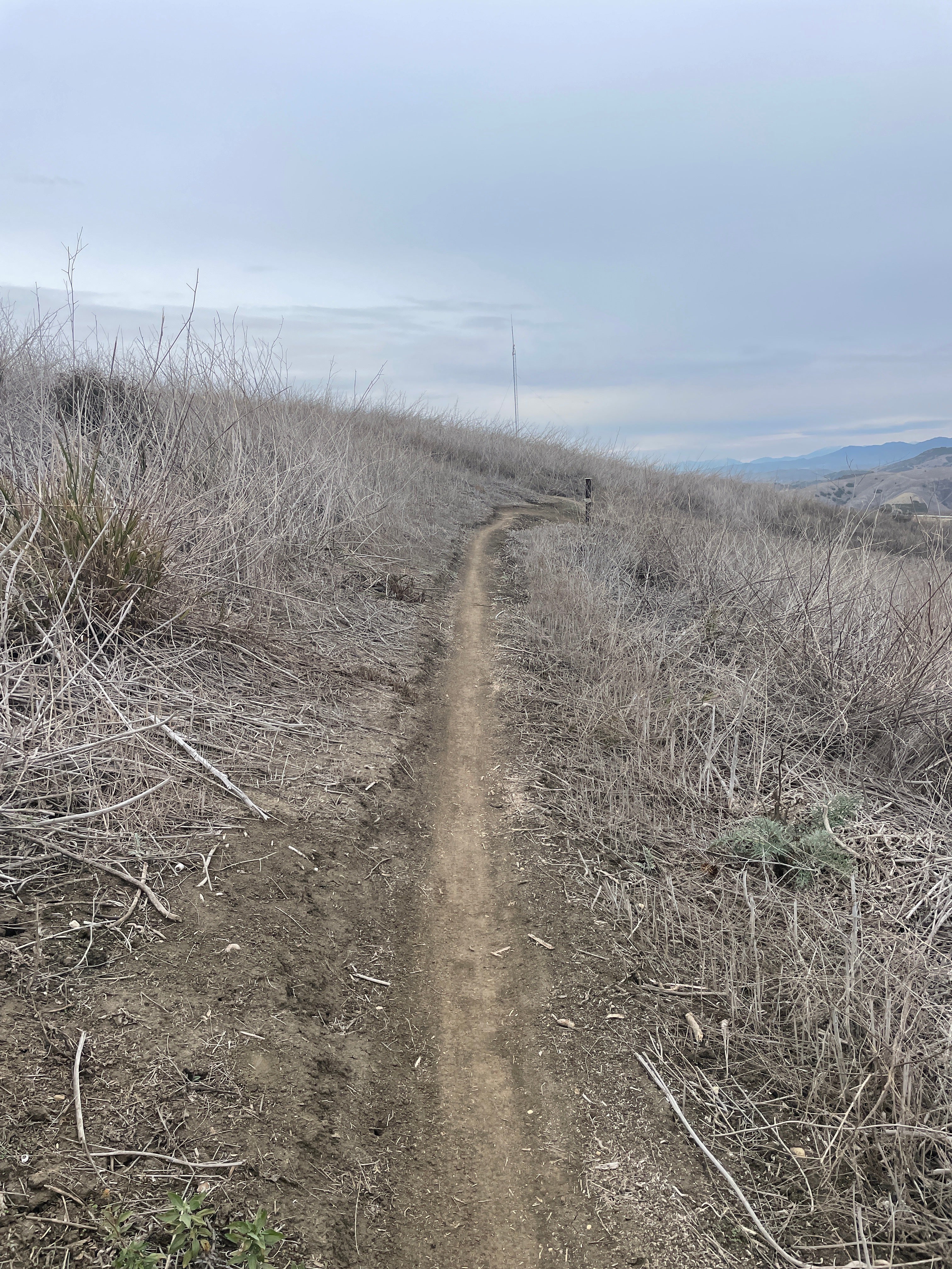 WHAT'S SO BAD ABOUT HOOKING UP?