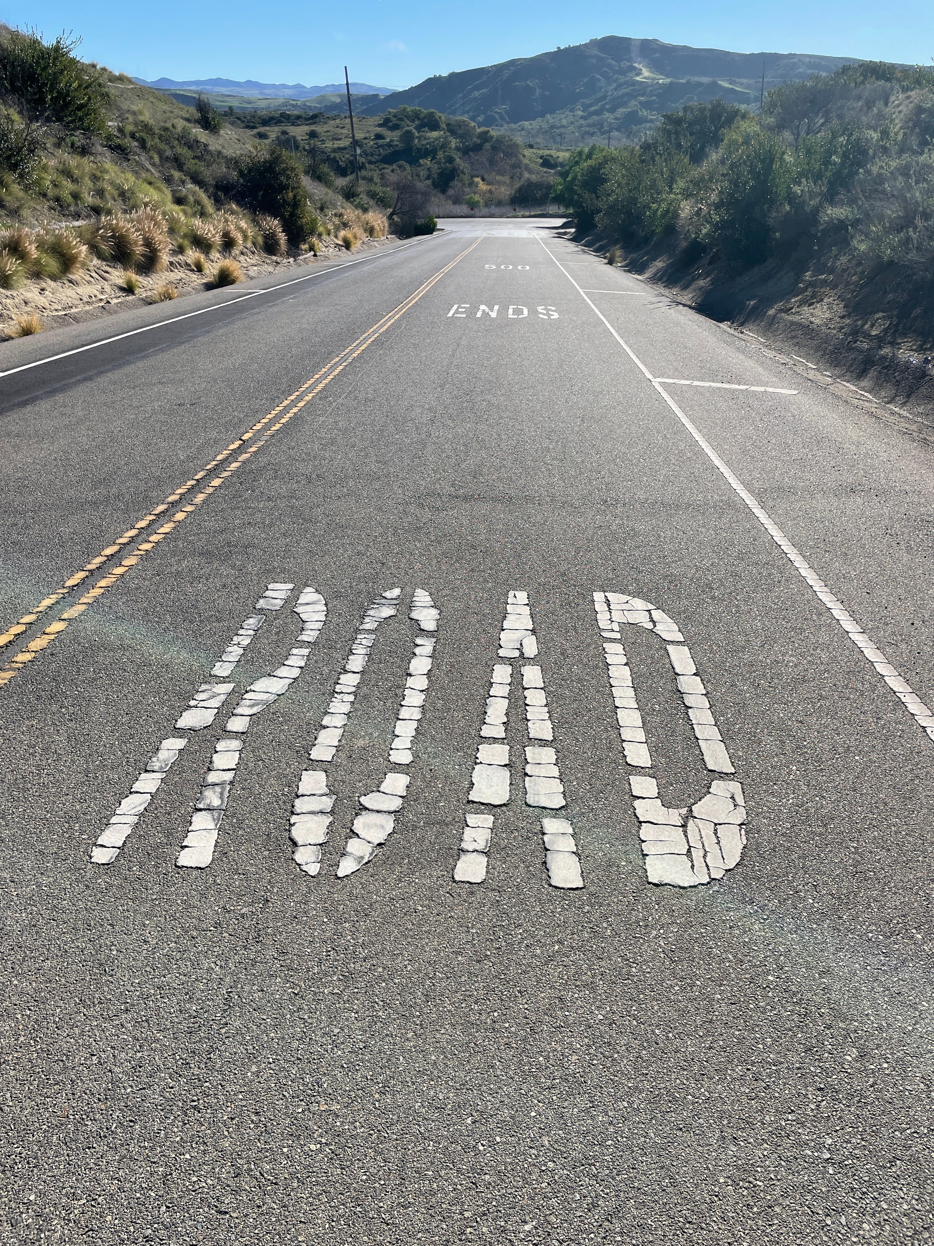 TWO DAMNITS DO MAKE A RIDE