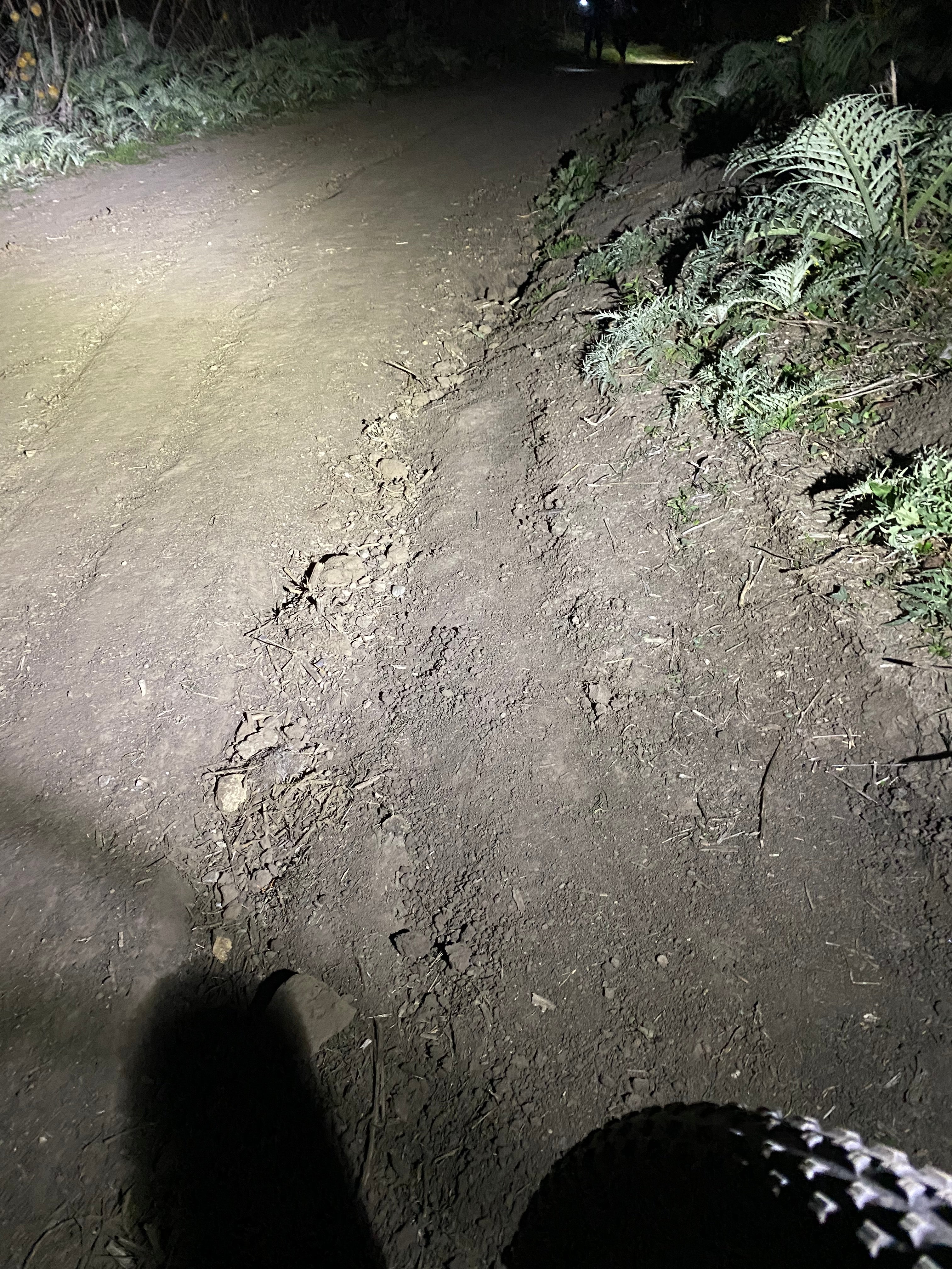 A RUT BY ANY OTHER NAME