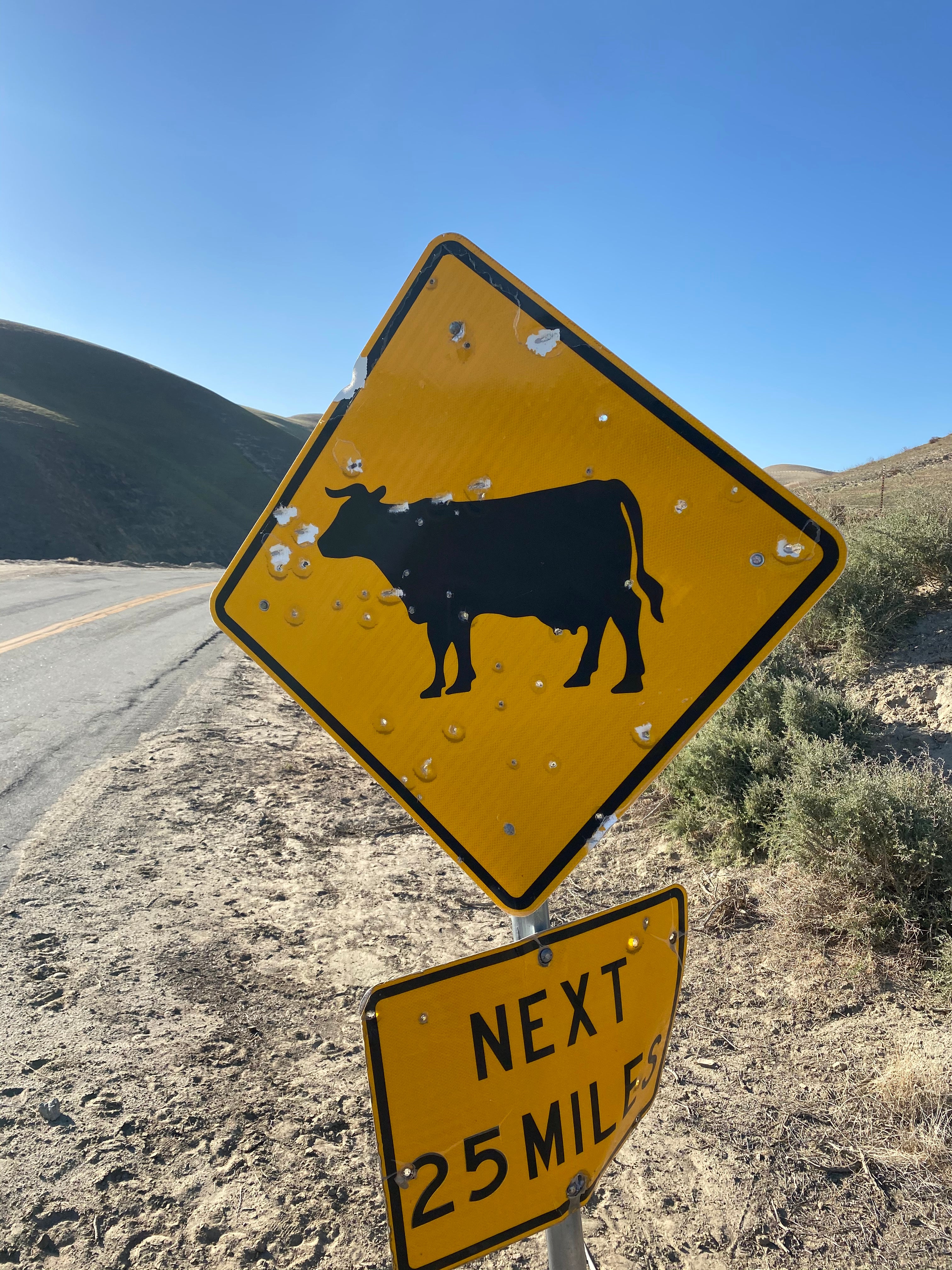 THE LAST SUPPER OF SORTS