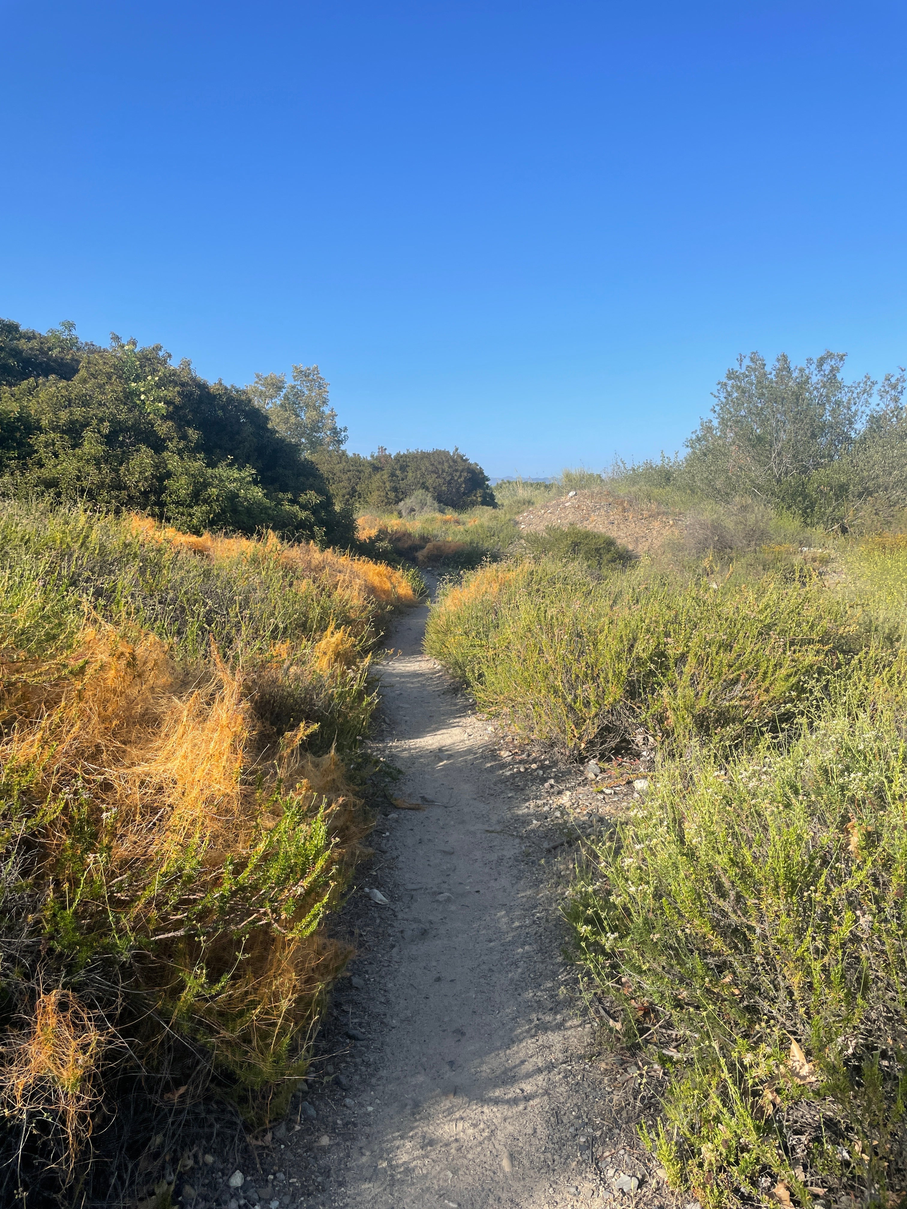 PUT THE LOAD RIGHT ON ME