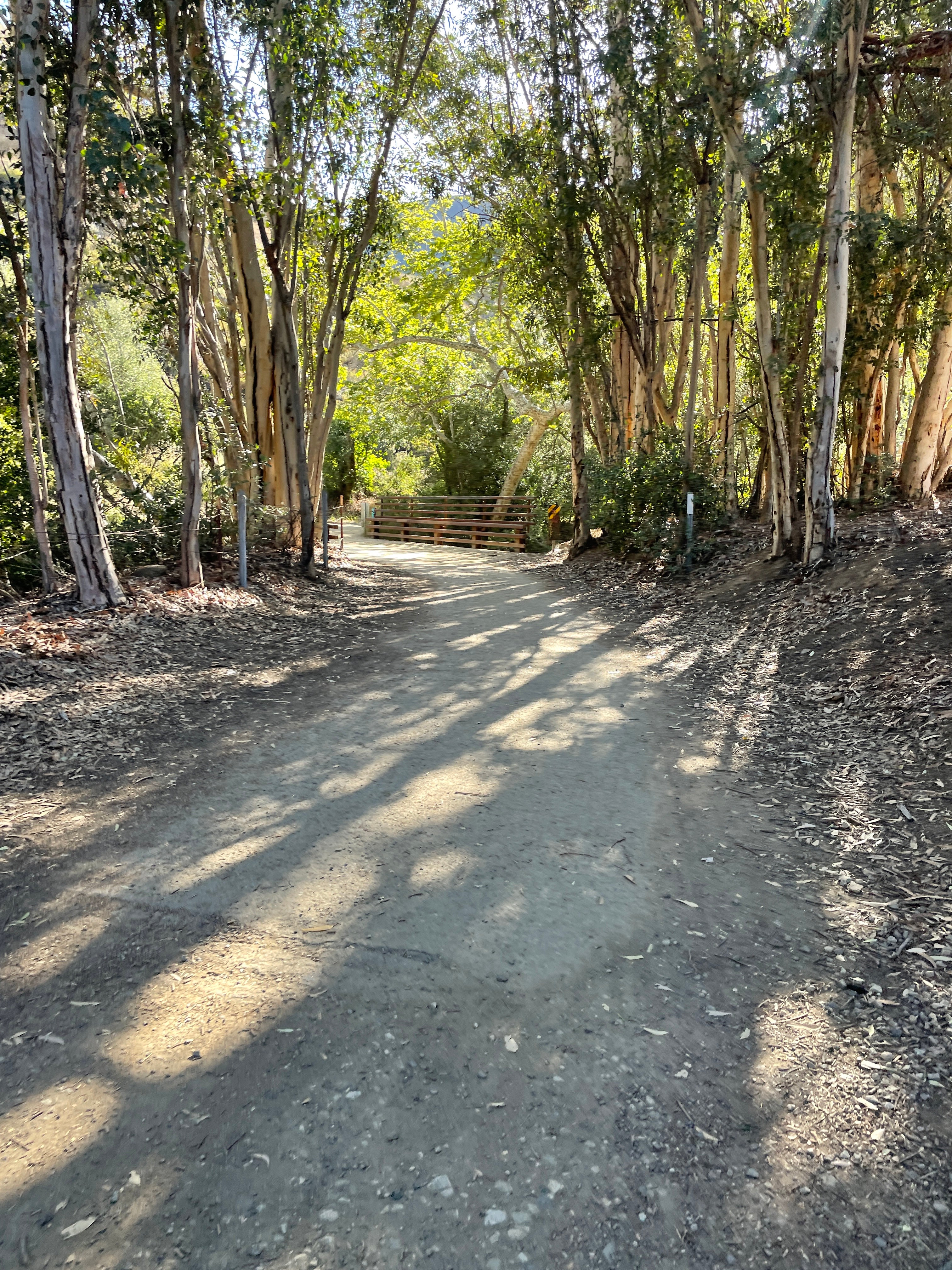 YOU'RE NOT GETTING PAID TO RIDE YOUR BIKE YET?