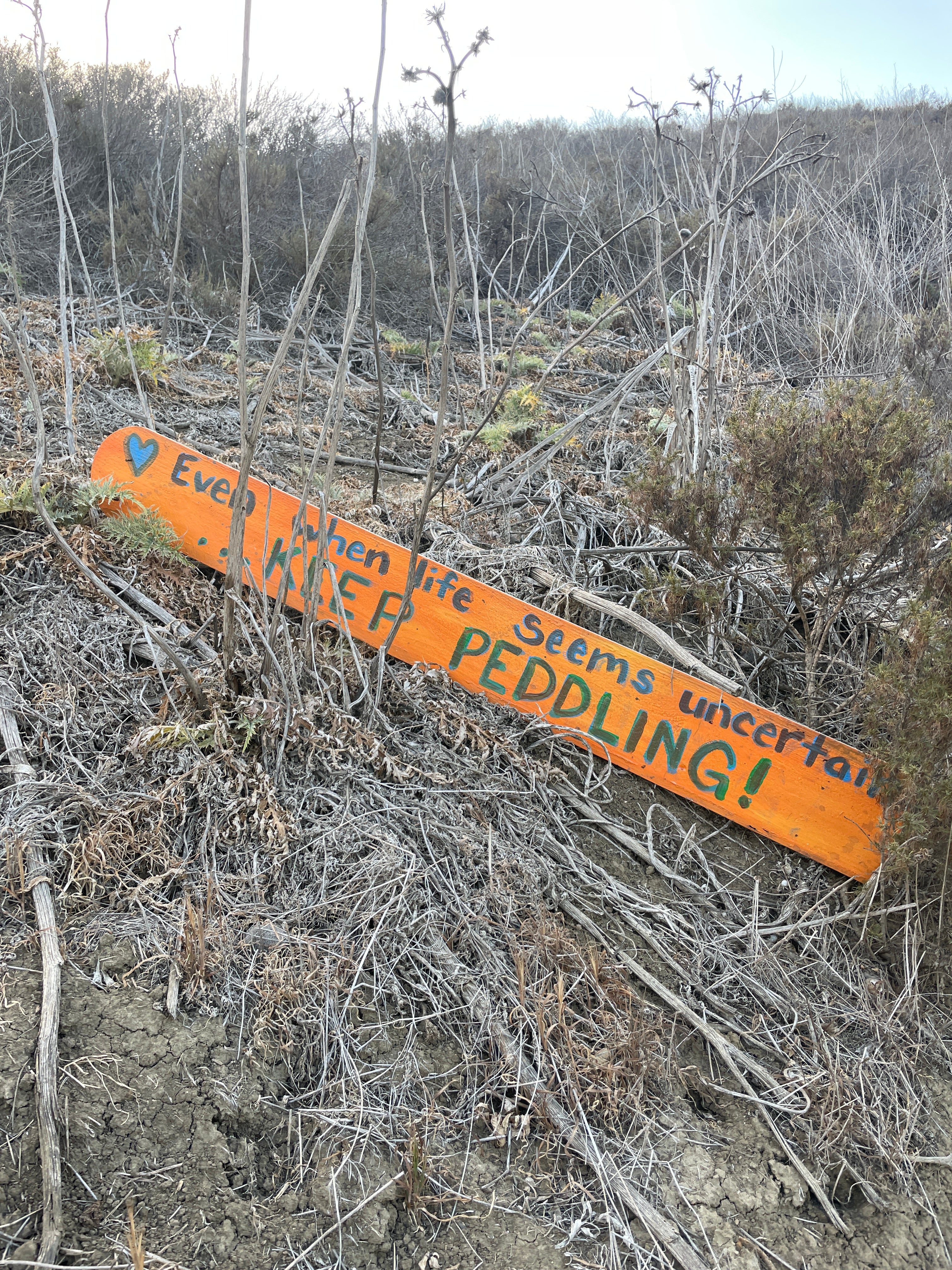 DON'T EVEN THINK ABOUT IT!