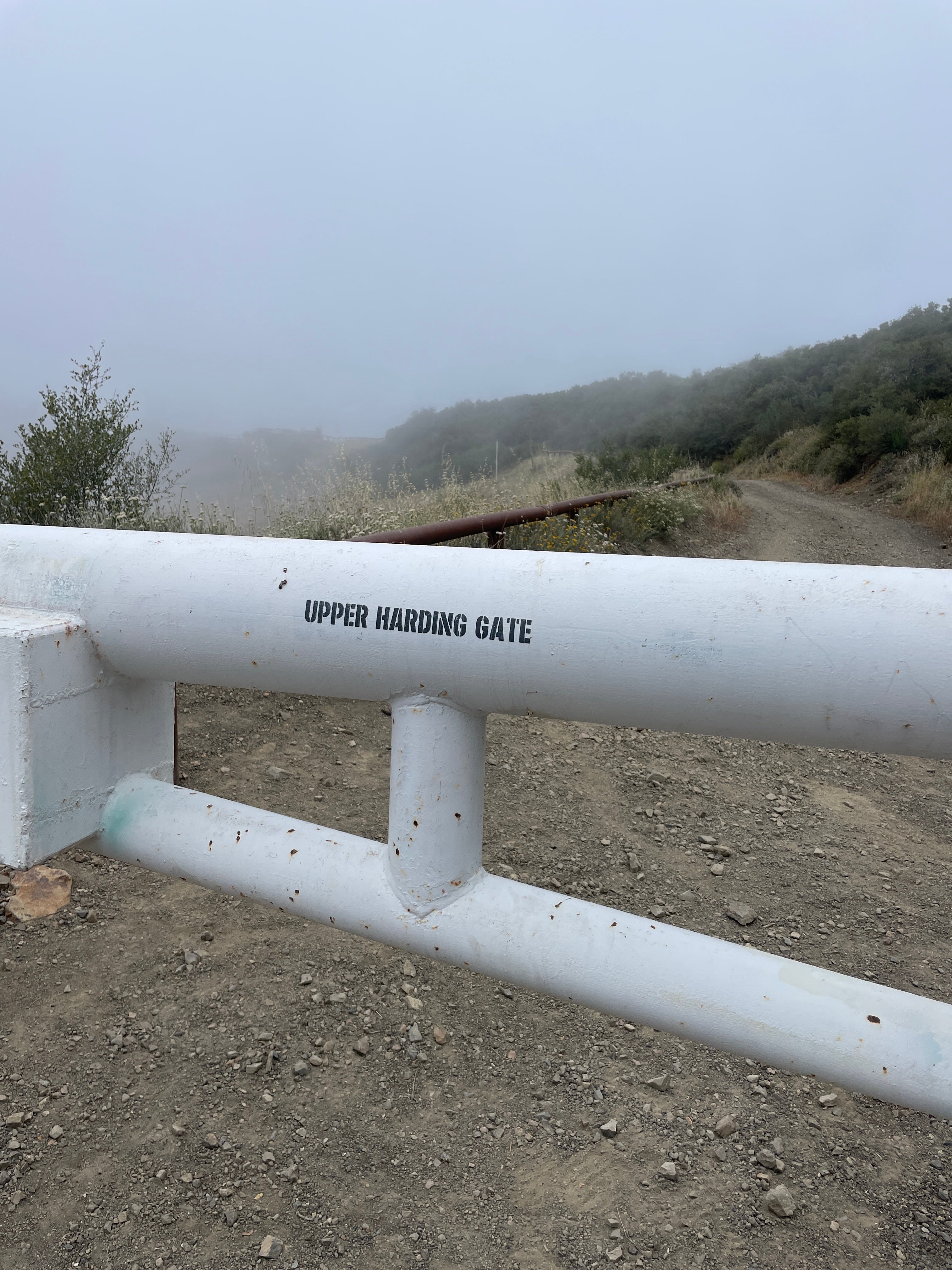 TIME FOR SECRET TRAINING