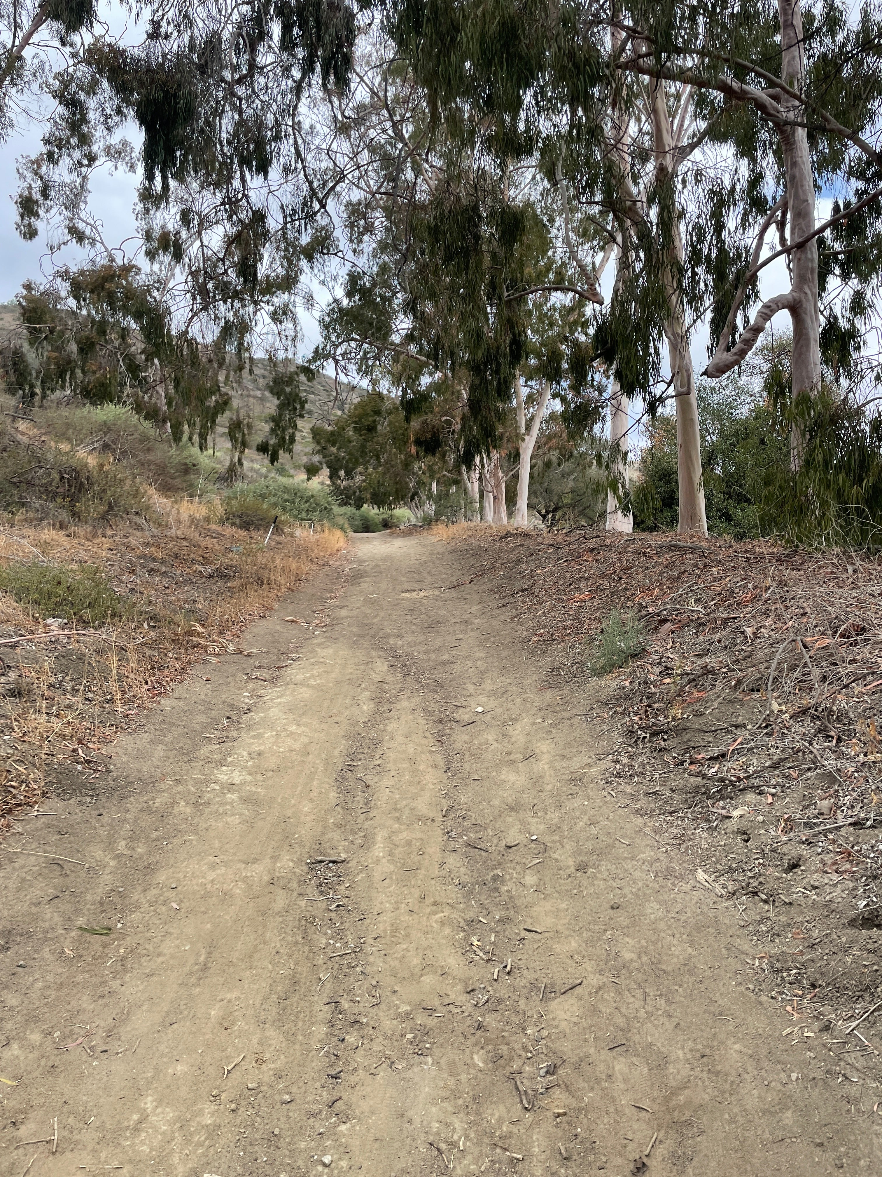 TOP 2 HIDDEN BENEFITS OF ZONE 2