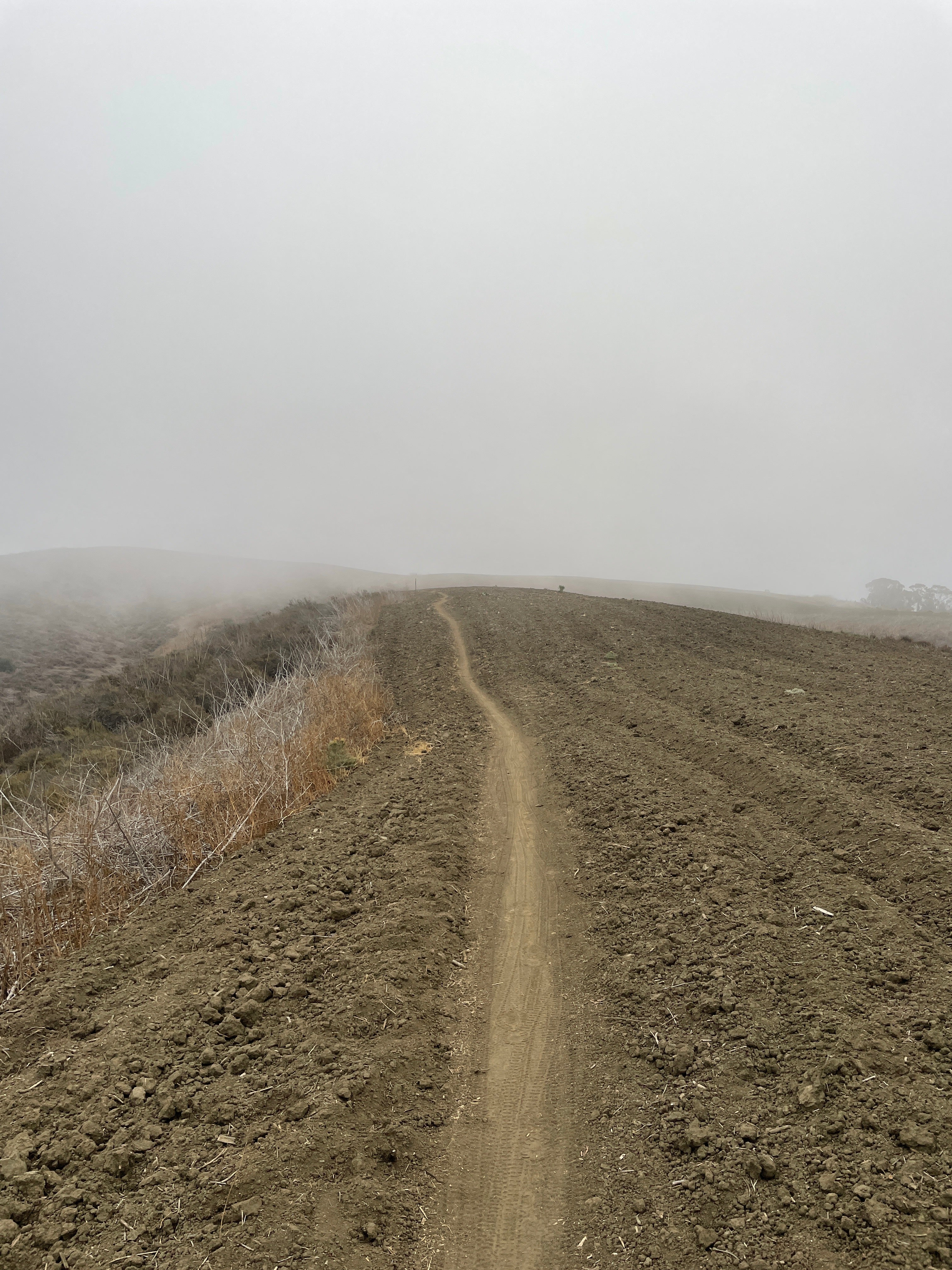 WHEN TO WAKE UP, PROFESSIONAL ADVICE