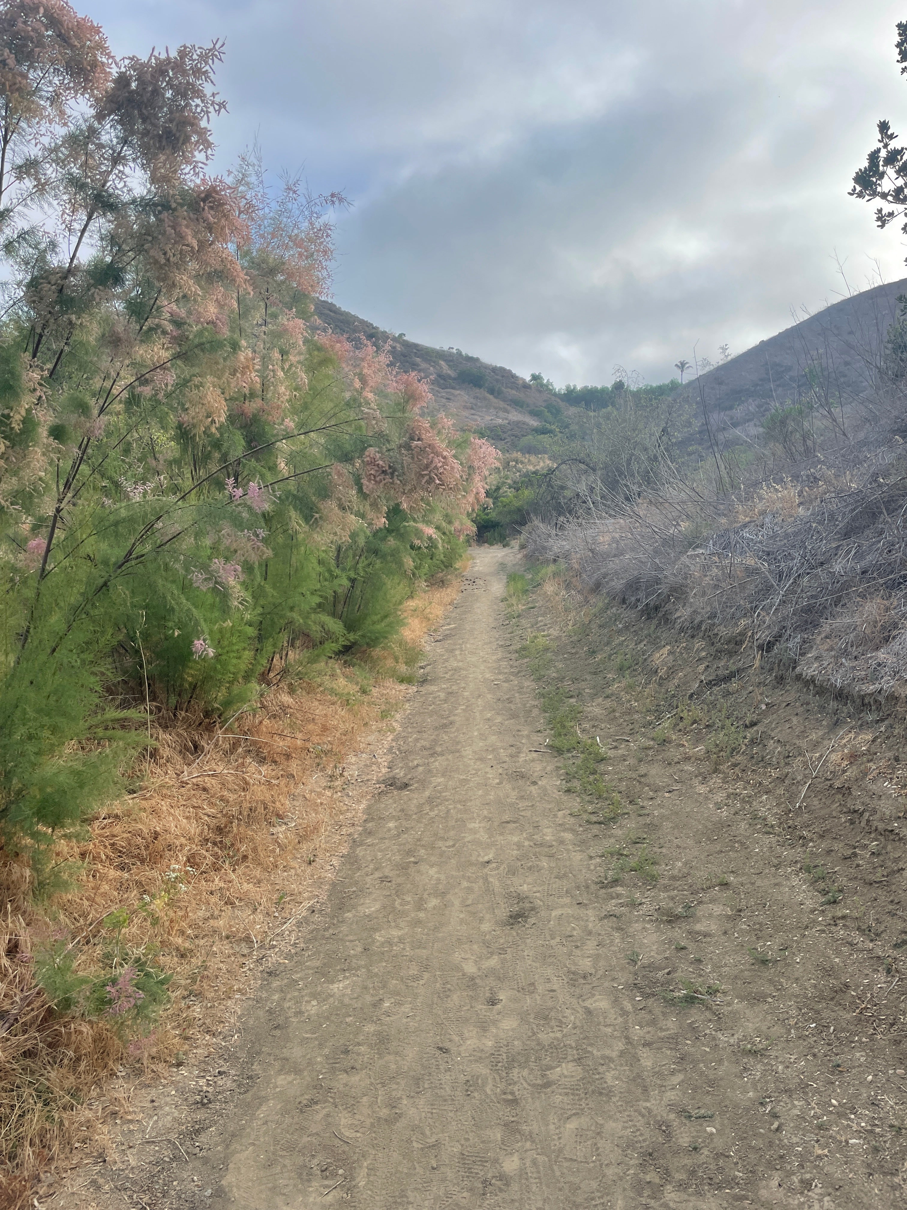 DO YOU SEE WHAT I SEE?