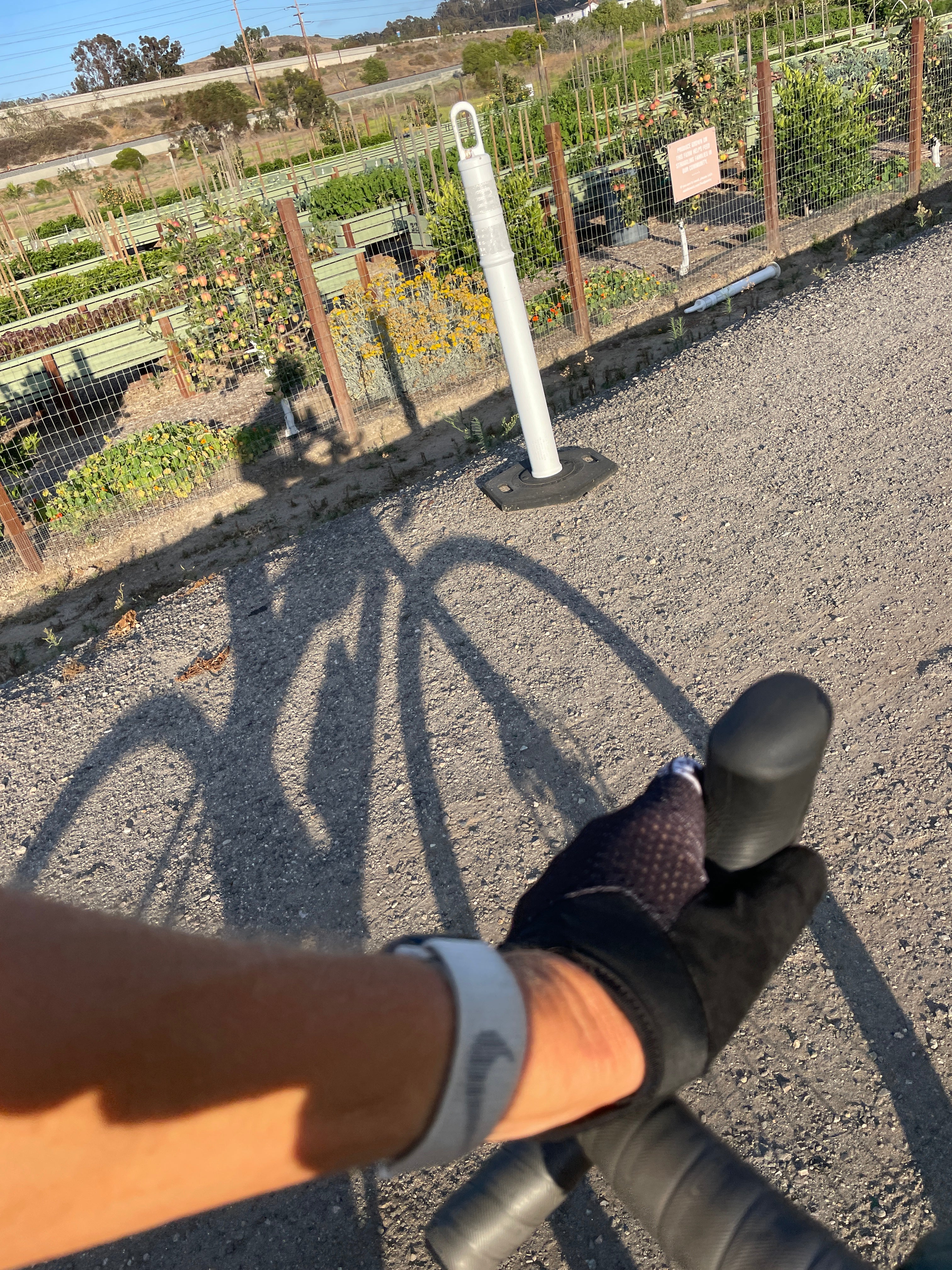 THE 3 Ps OF REAL ATHLETES