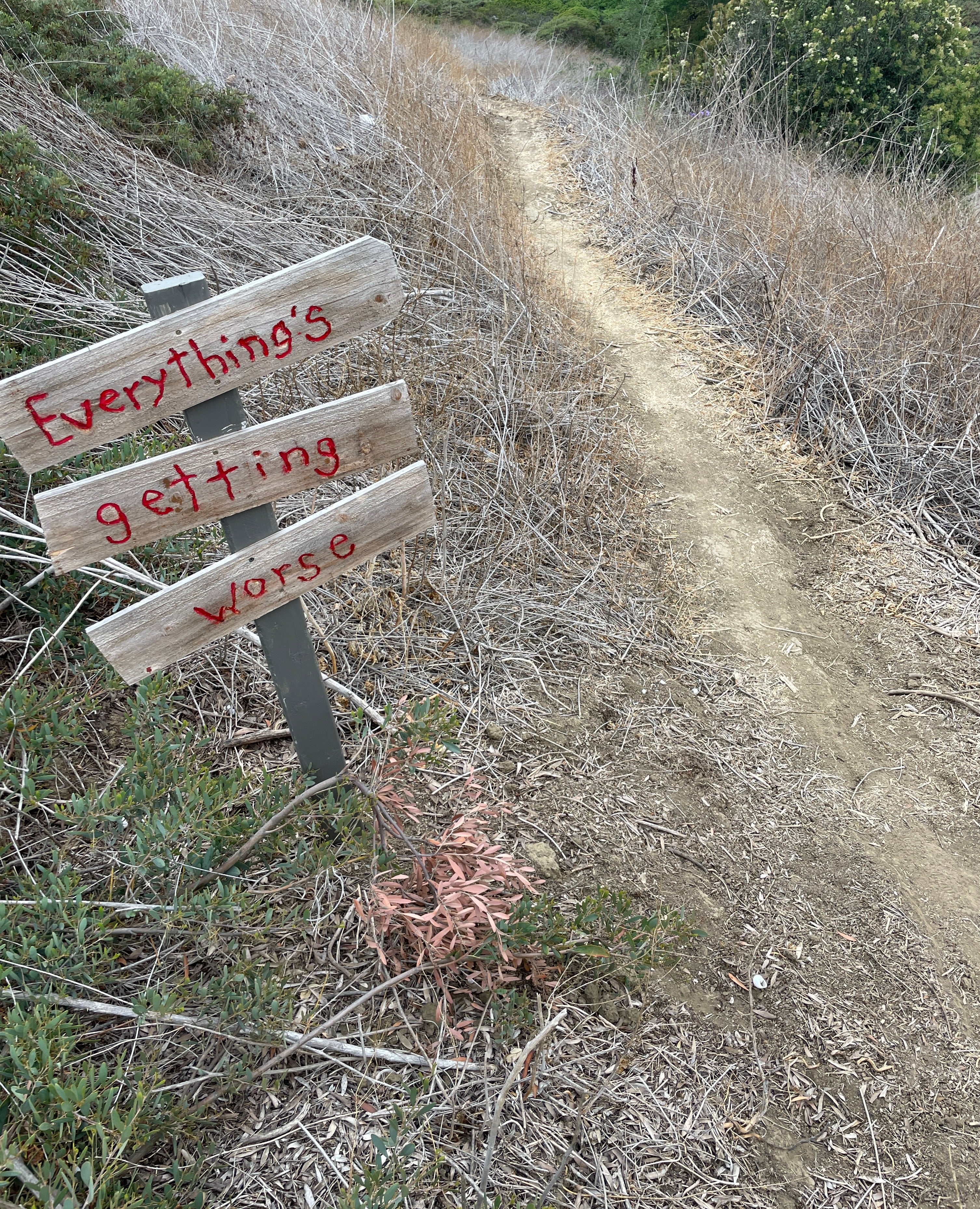 AIMLESS MAN MAKES DISCOVERY!