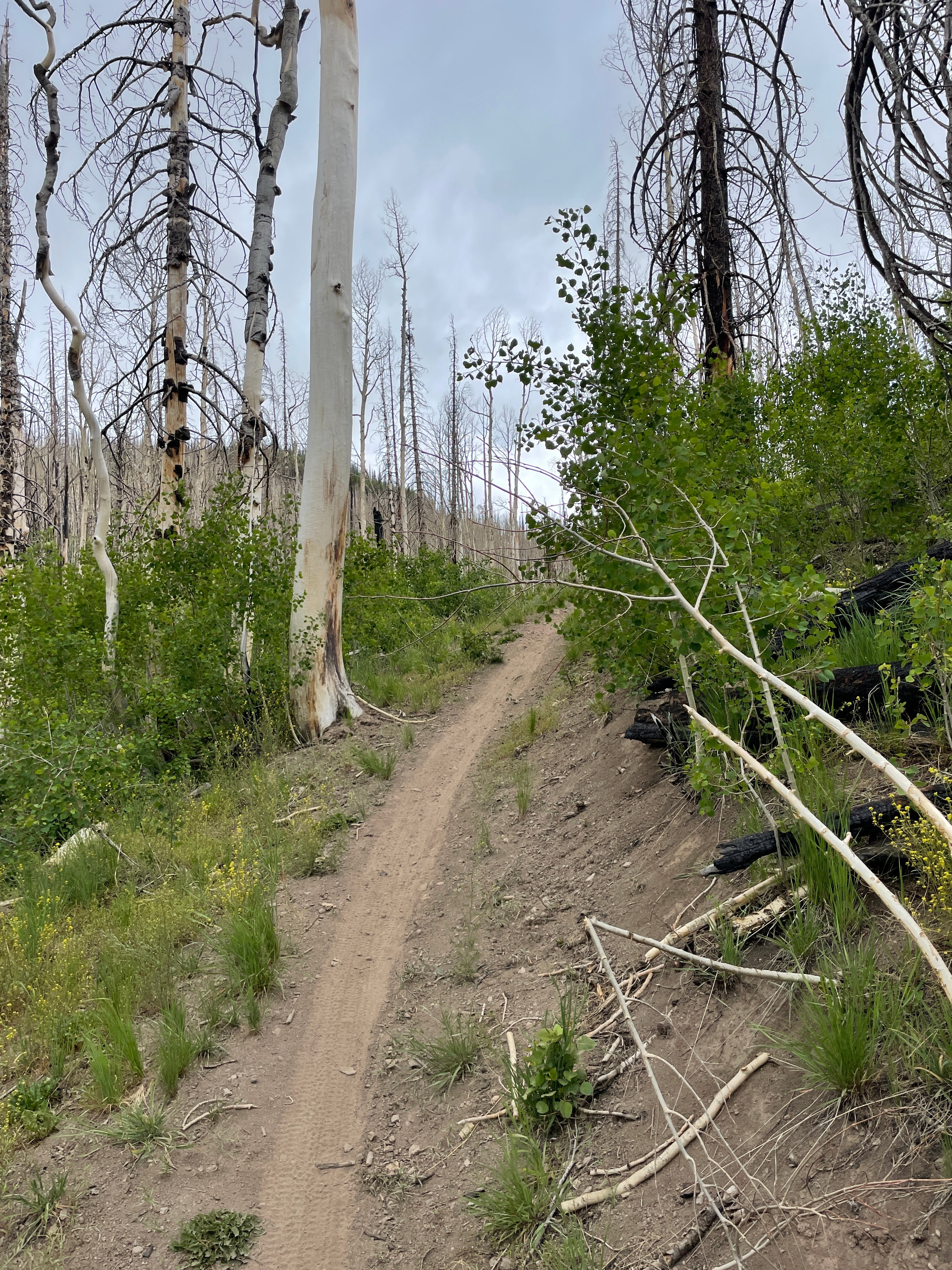 THE SCARIEST THING I'VE LEARNED FROM STRAVA